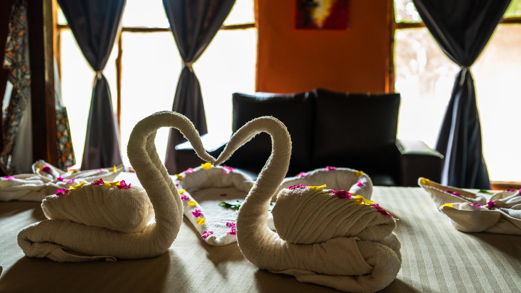 Zanzibar to Selous: 2-Day Safari with Flights & Bush Lunch