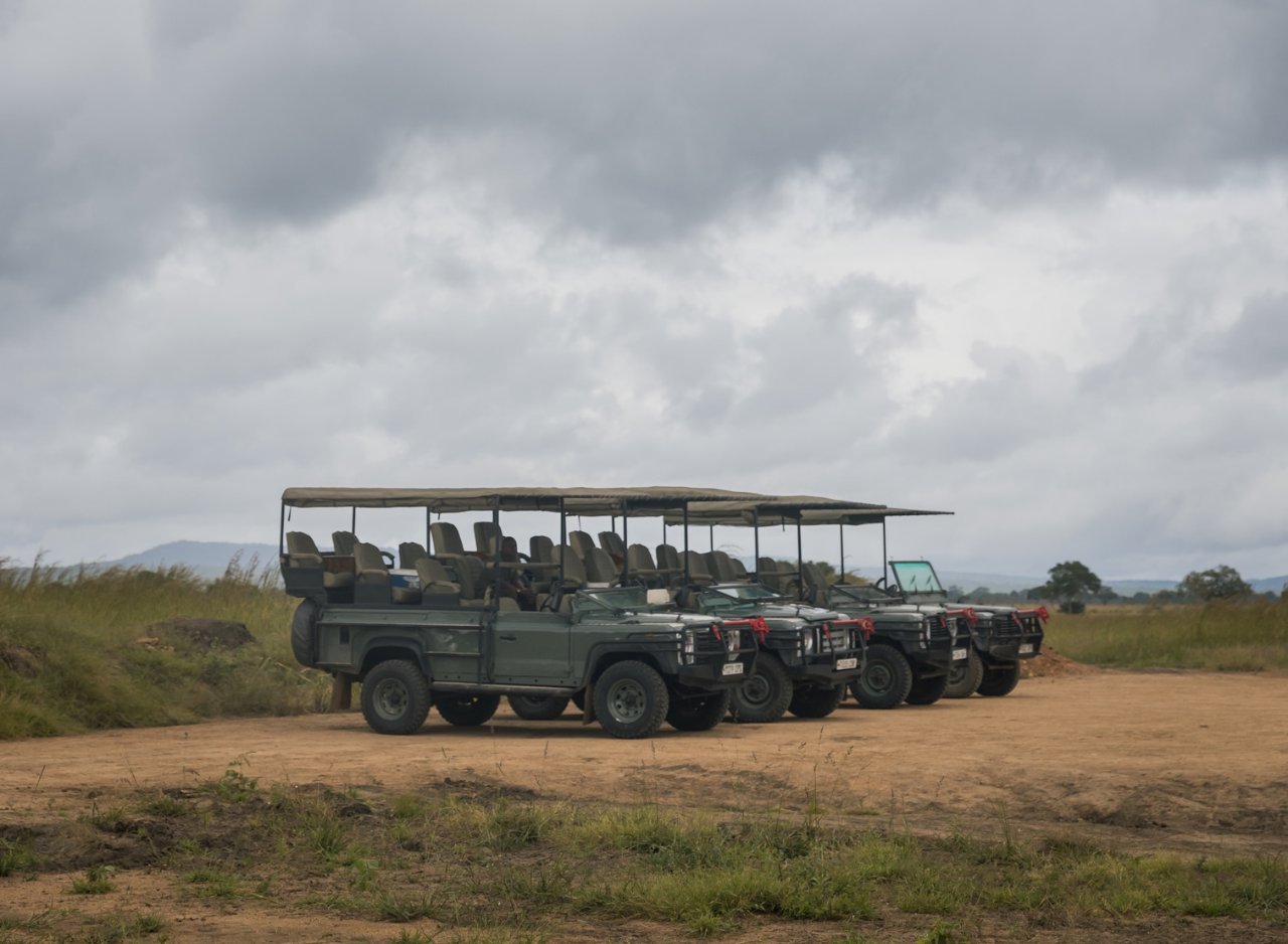 Zanzibar to Mikumi: Fly-In Safari Day Trip by Twin-Engine Plane