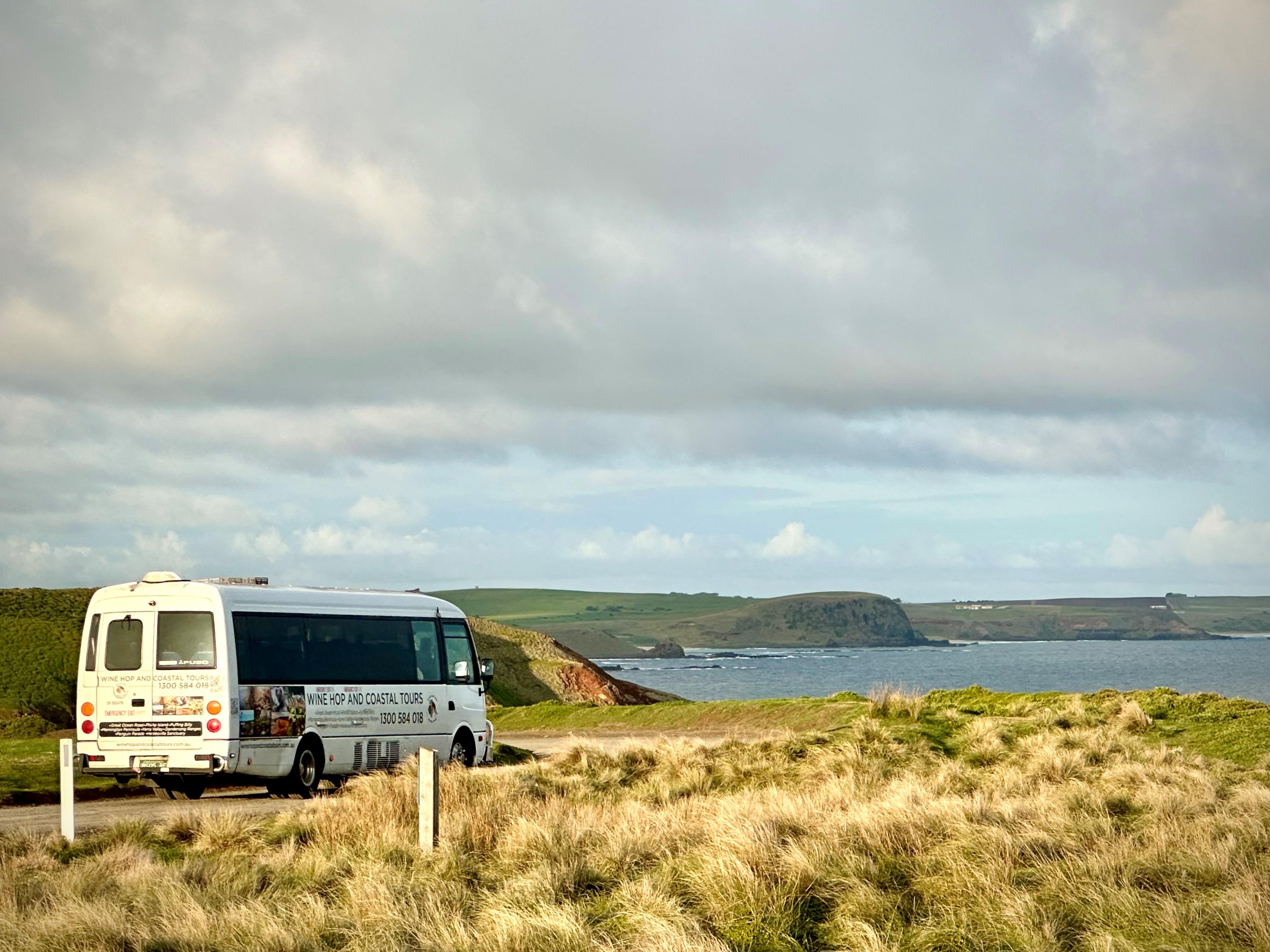 Phillip Island Wildlife & Penguin Parade Day Tour