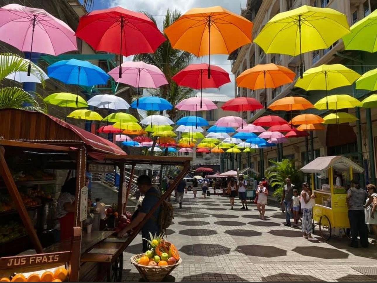 Northern Mauritius Full-Day Cultural & Coastal Tour