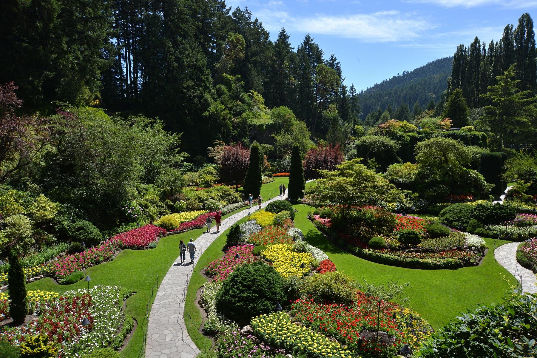 Victoria Sightseeing Tour & Butchart Gardens Excursion
