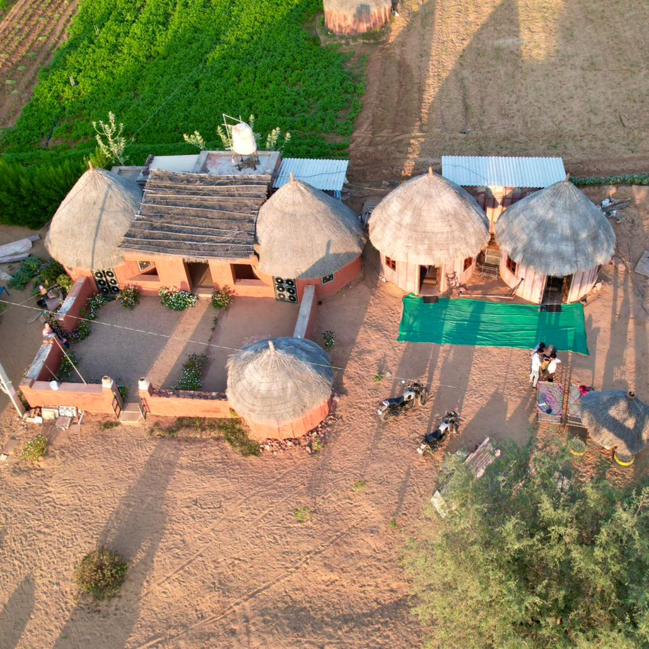 Jodhpur Thar Desert Safari & Traditional Cooking Experience