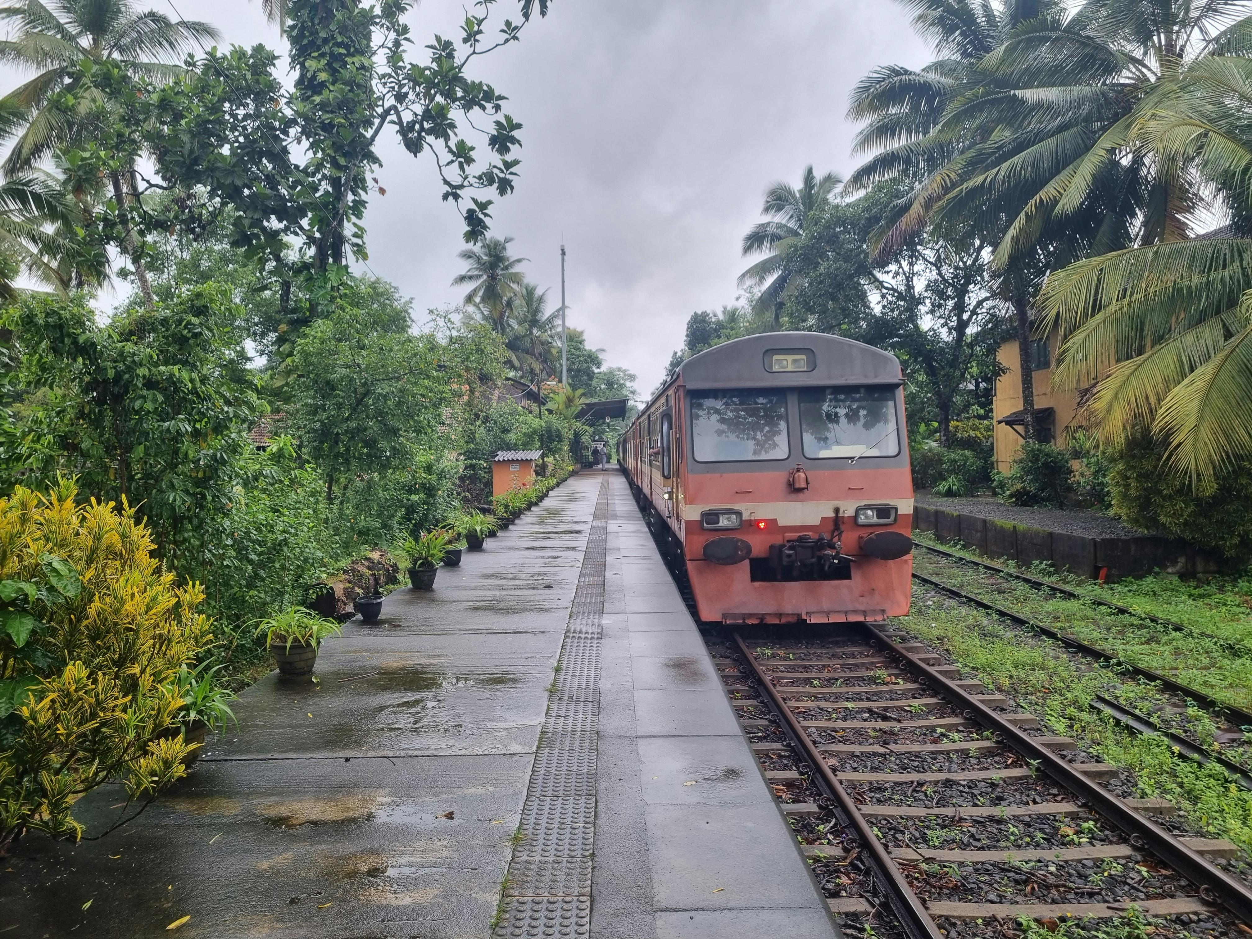 Sri Lanka: Private Guided Scenic Train Journey to Galle or Kandy