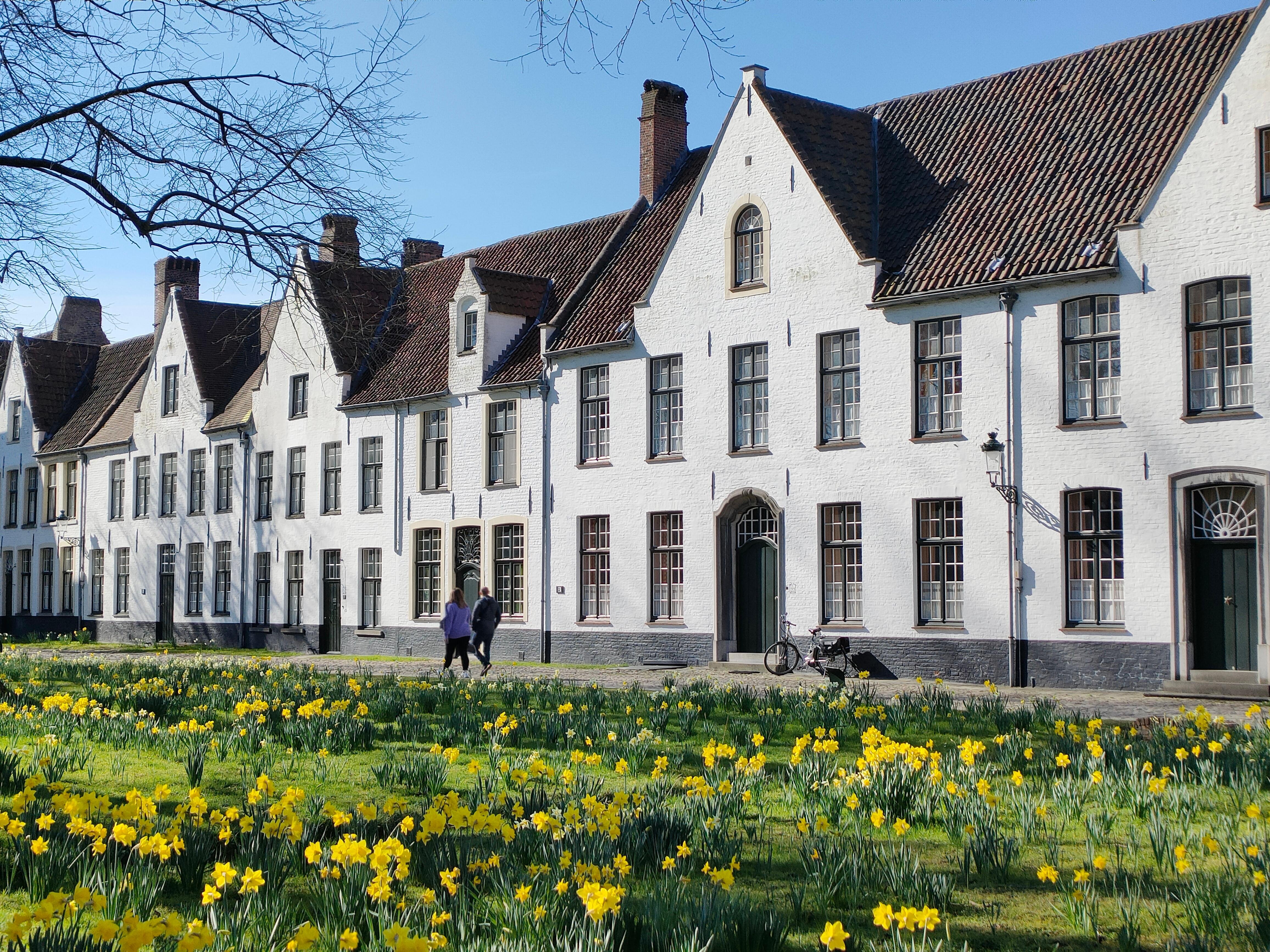 Bruges canal boat tour — medieval canals, low bridges, the Belfry and the Beguinage in the Venice of the North — image 18