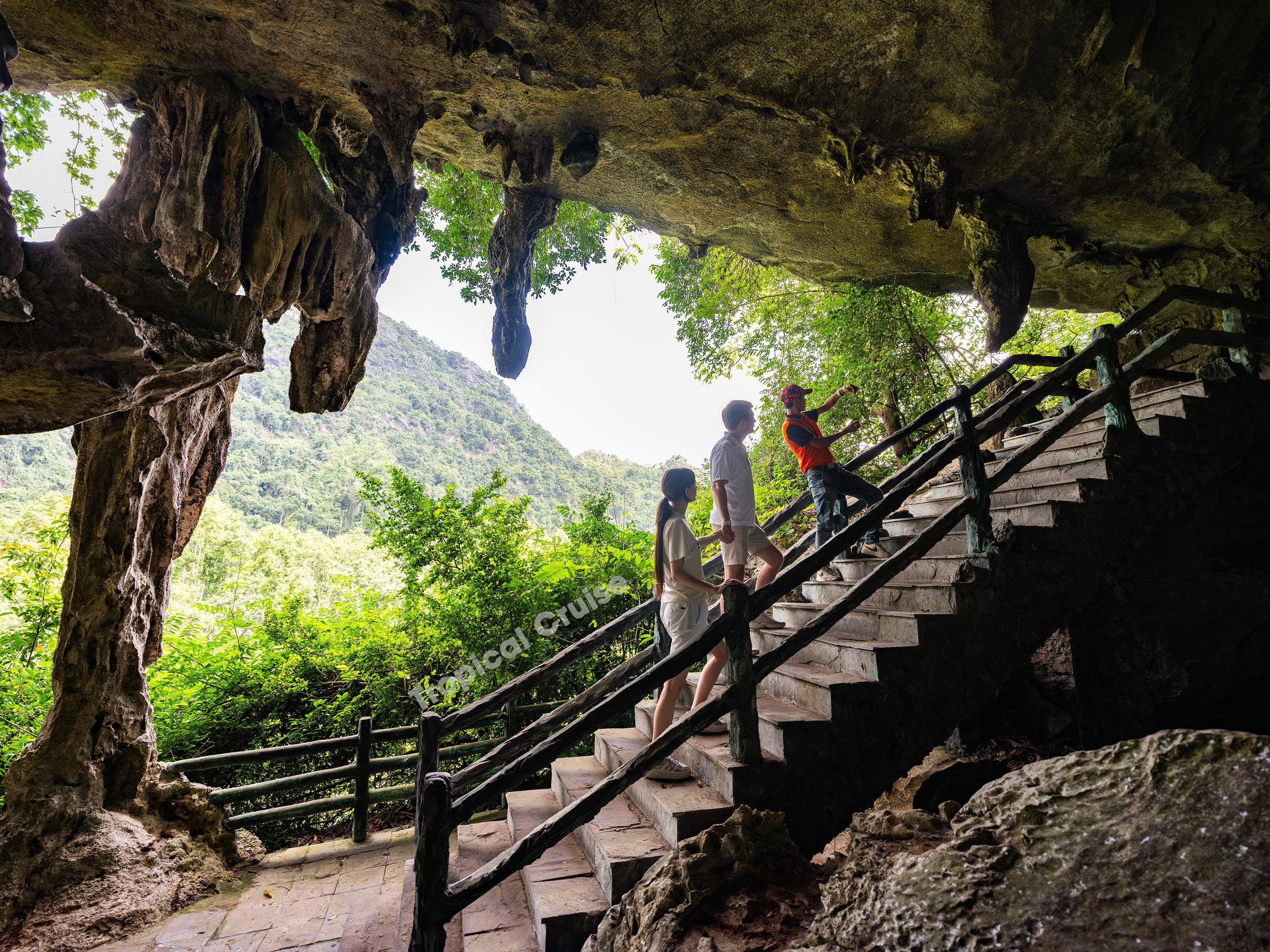 Ha Long to Lan Ha Bay Full-Day Cruise from Hanoi