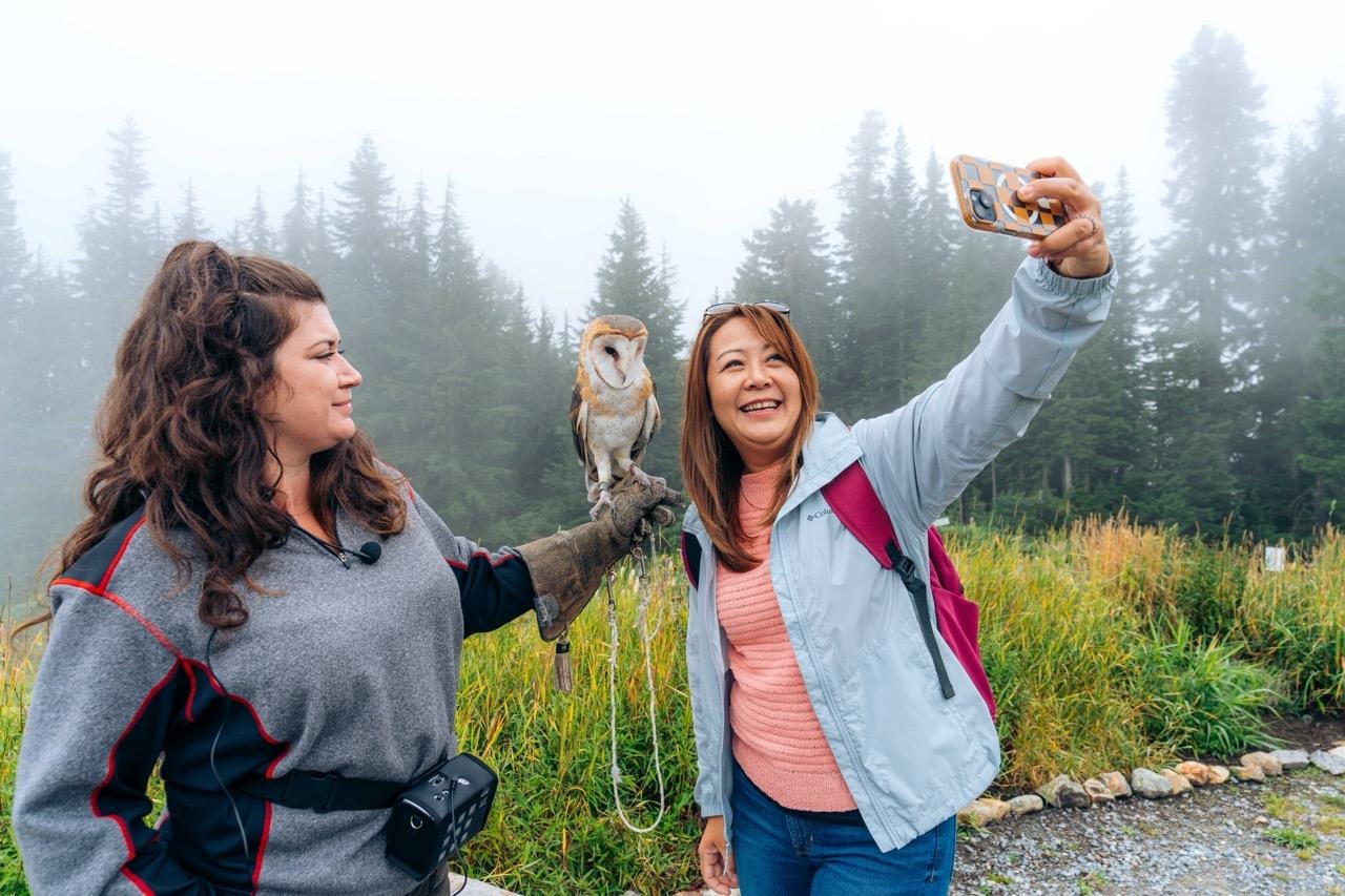 Capilano Suspension Bridge & Grouse Mountain Full-Day Tour