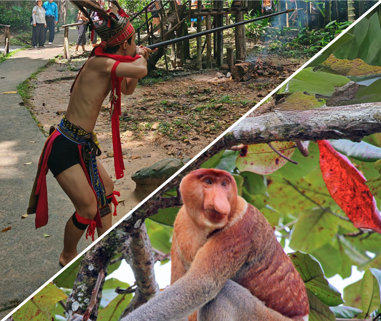 Kota Kinabalu: Mari Mari Cultural Village & Bongawan River Cruise