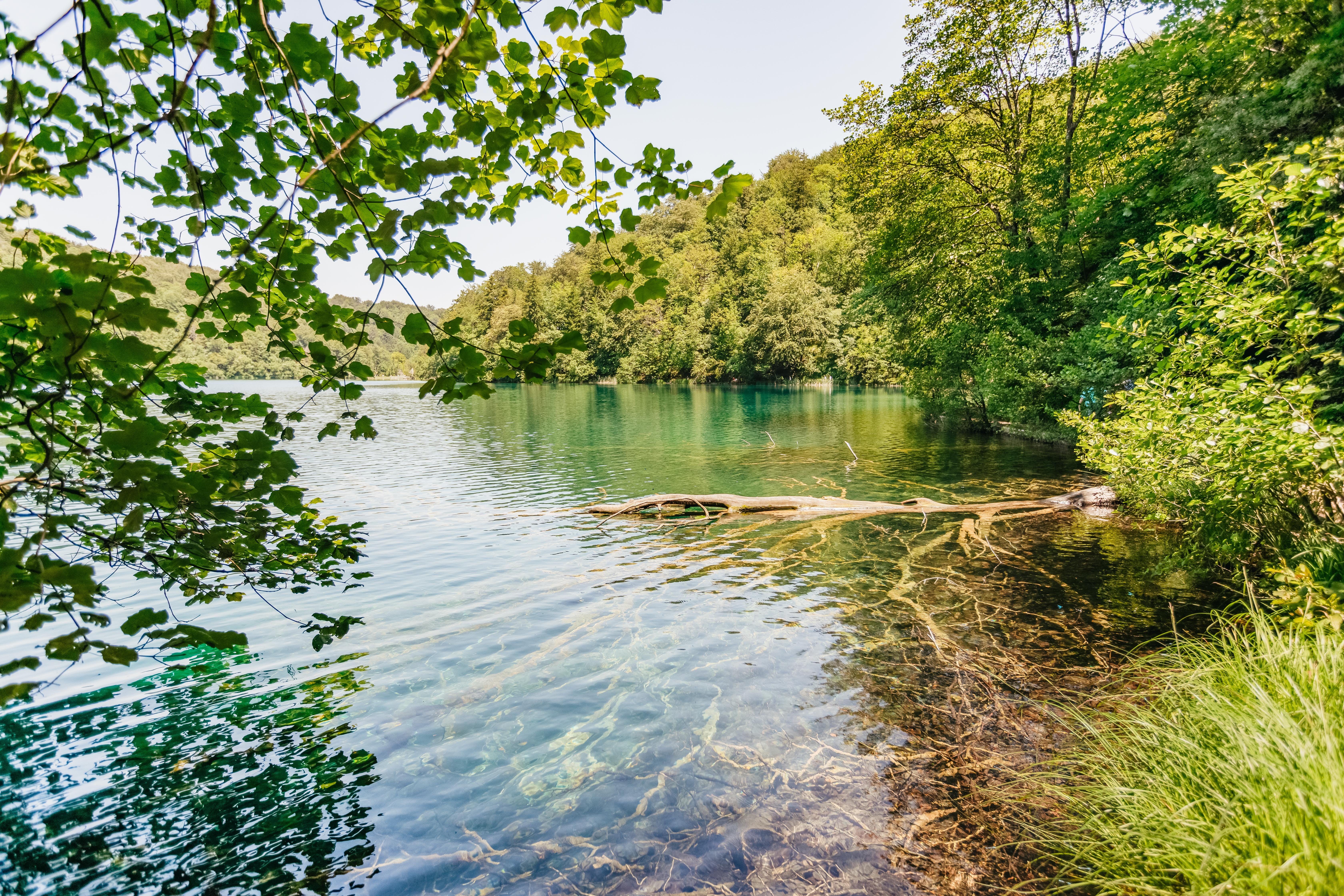 Split to Plitvice Lakes National Park Guided Day Trip