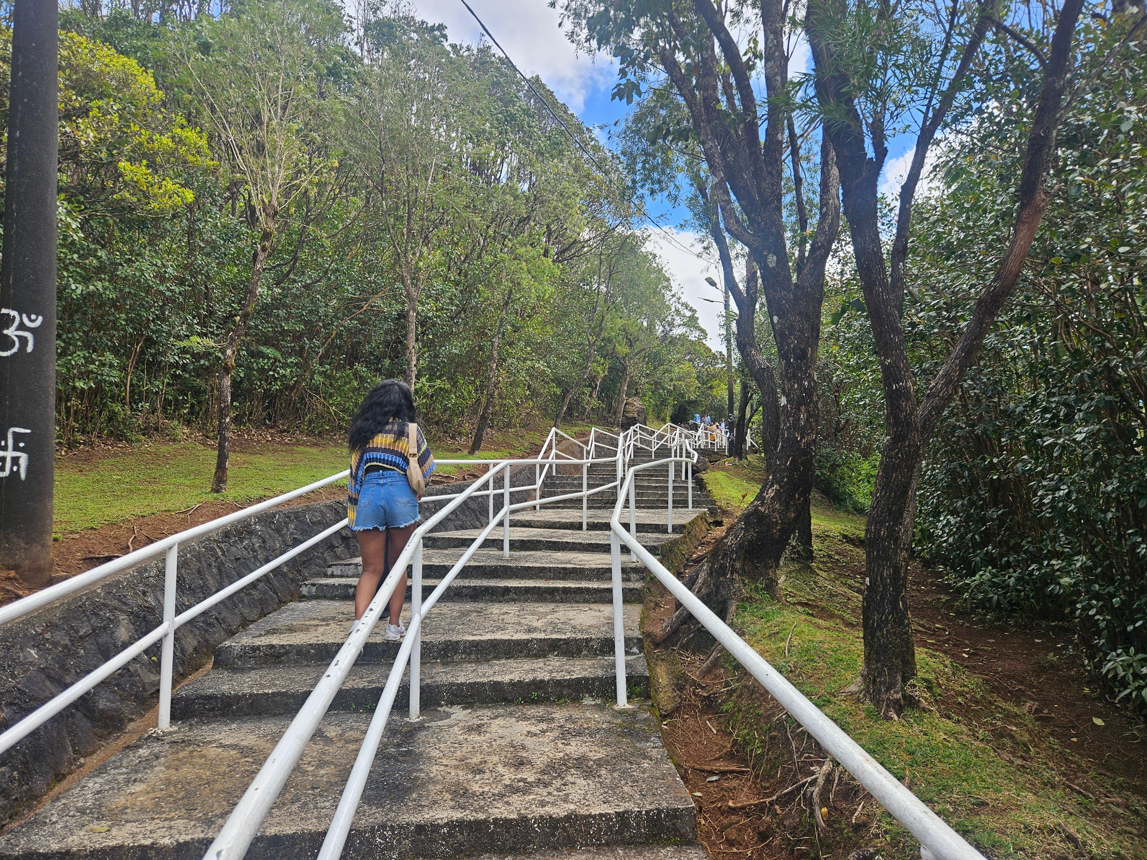 Private Southwest Mauritius: Chamarel & Nature Highlights