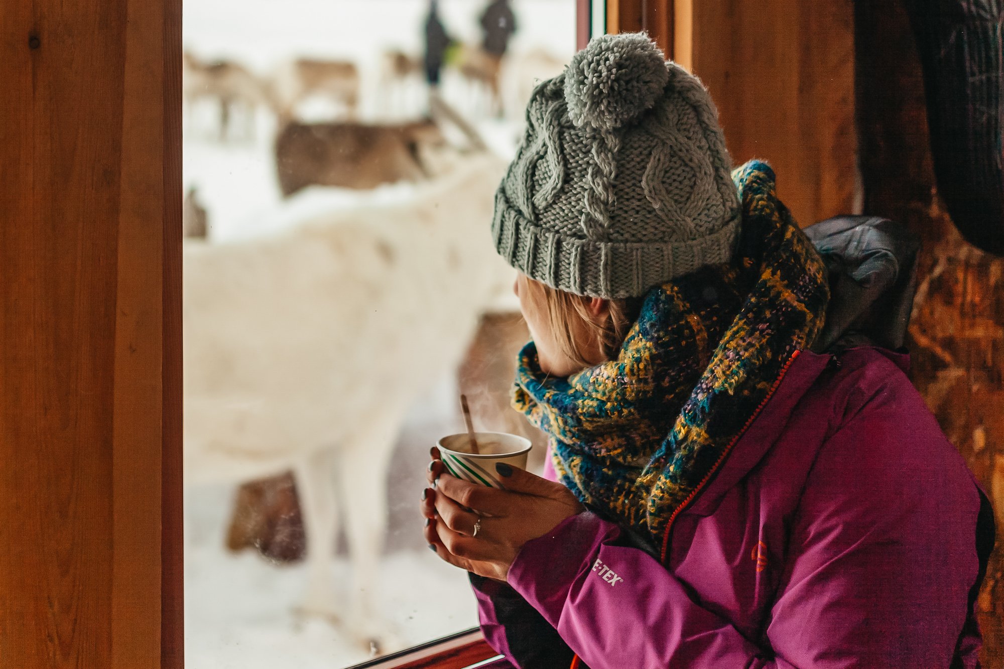 Tromso reindeer sledding and feeding tour with a Sami guide — image 13
