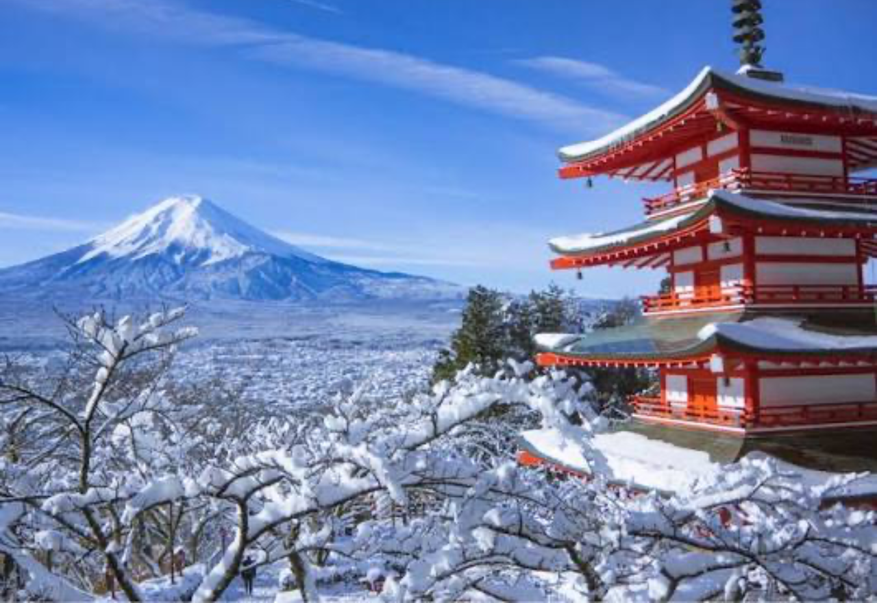 Tokyo: Private Mt. Fuji Full-Day Tour with English Guide