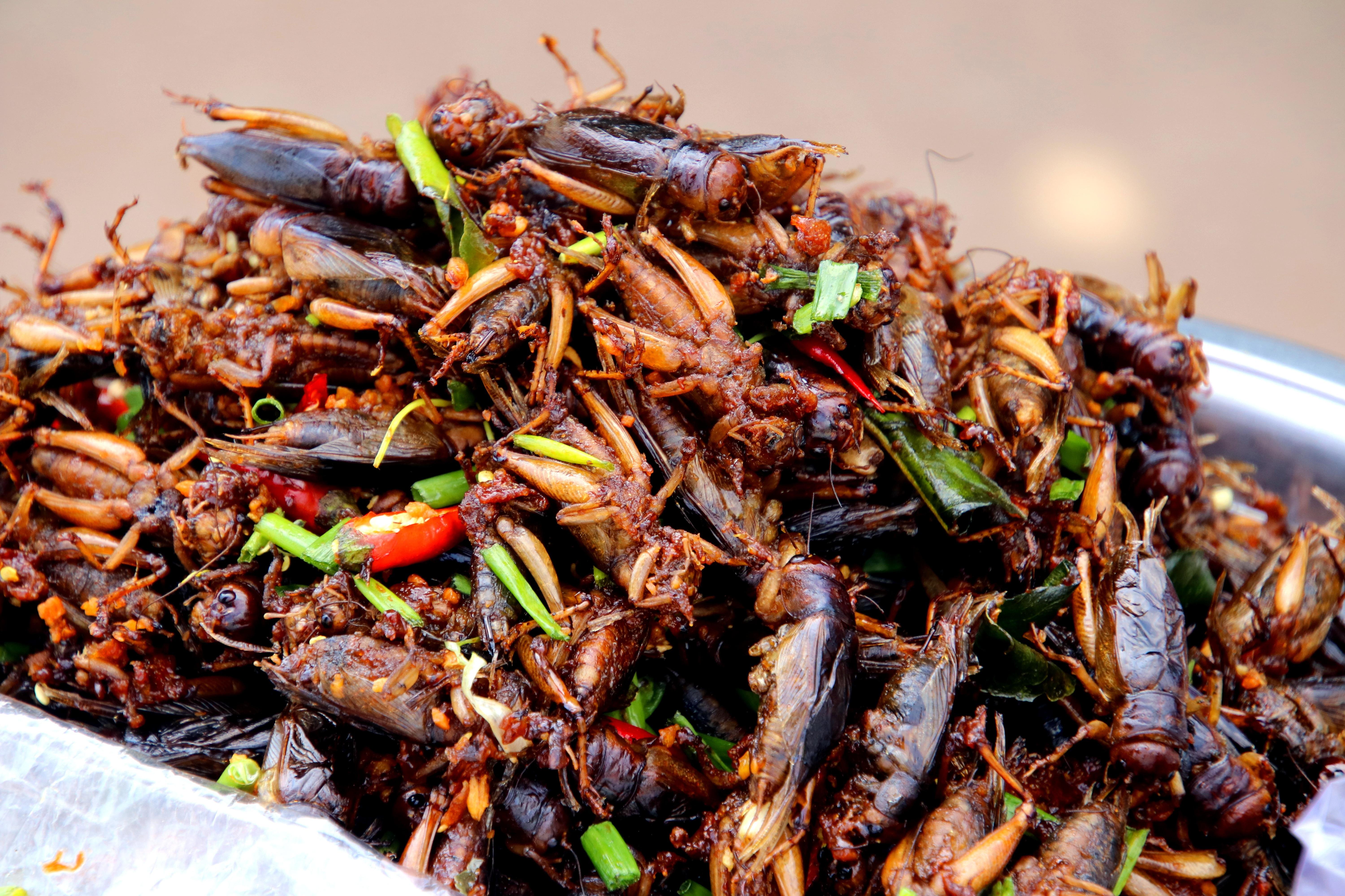 Private Siem Reap Cultural & Culinary Discovery