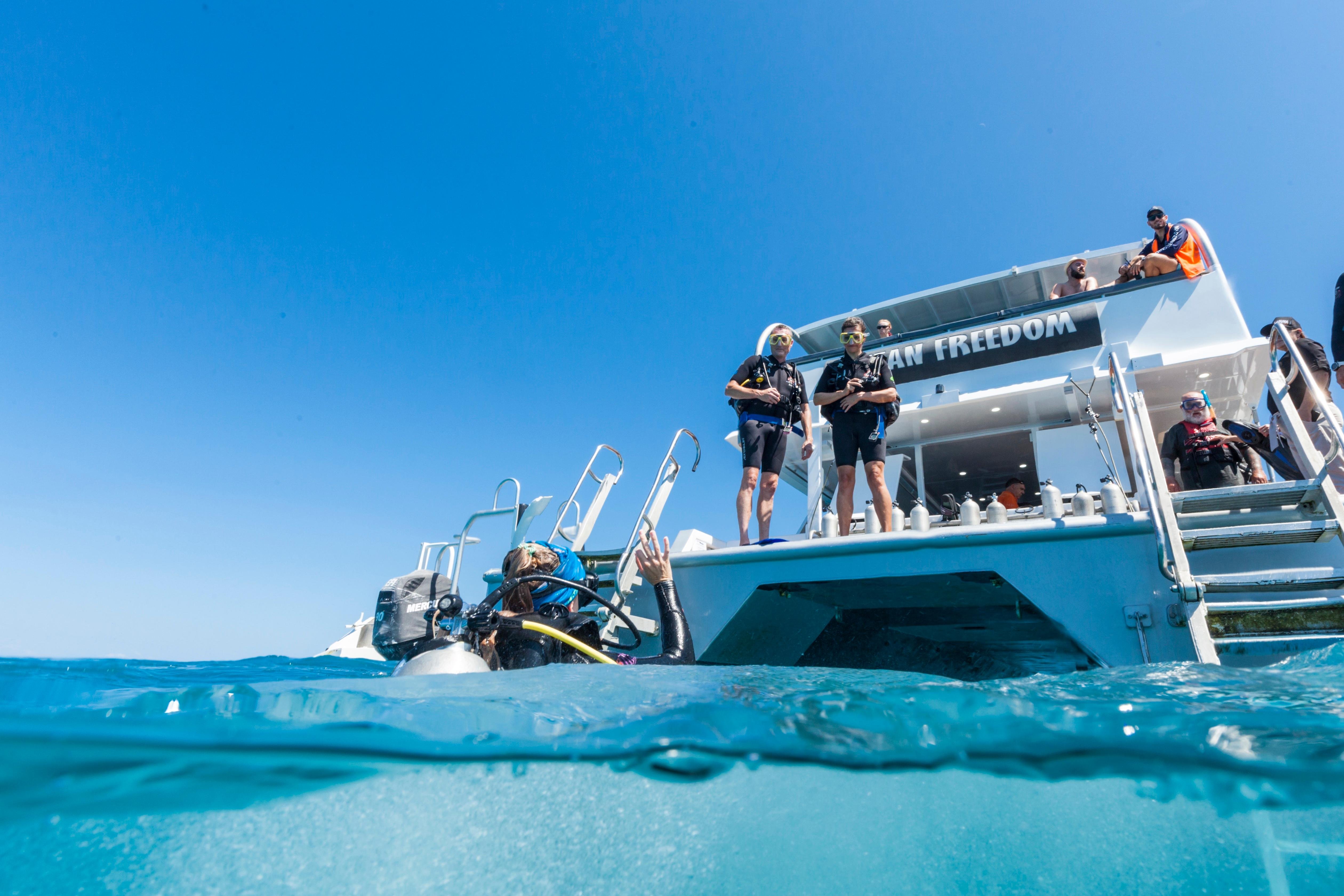 Cairns barrier reef tour to Upolu Reef — photo 5