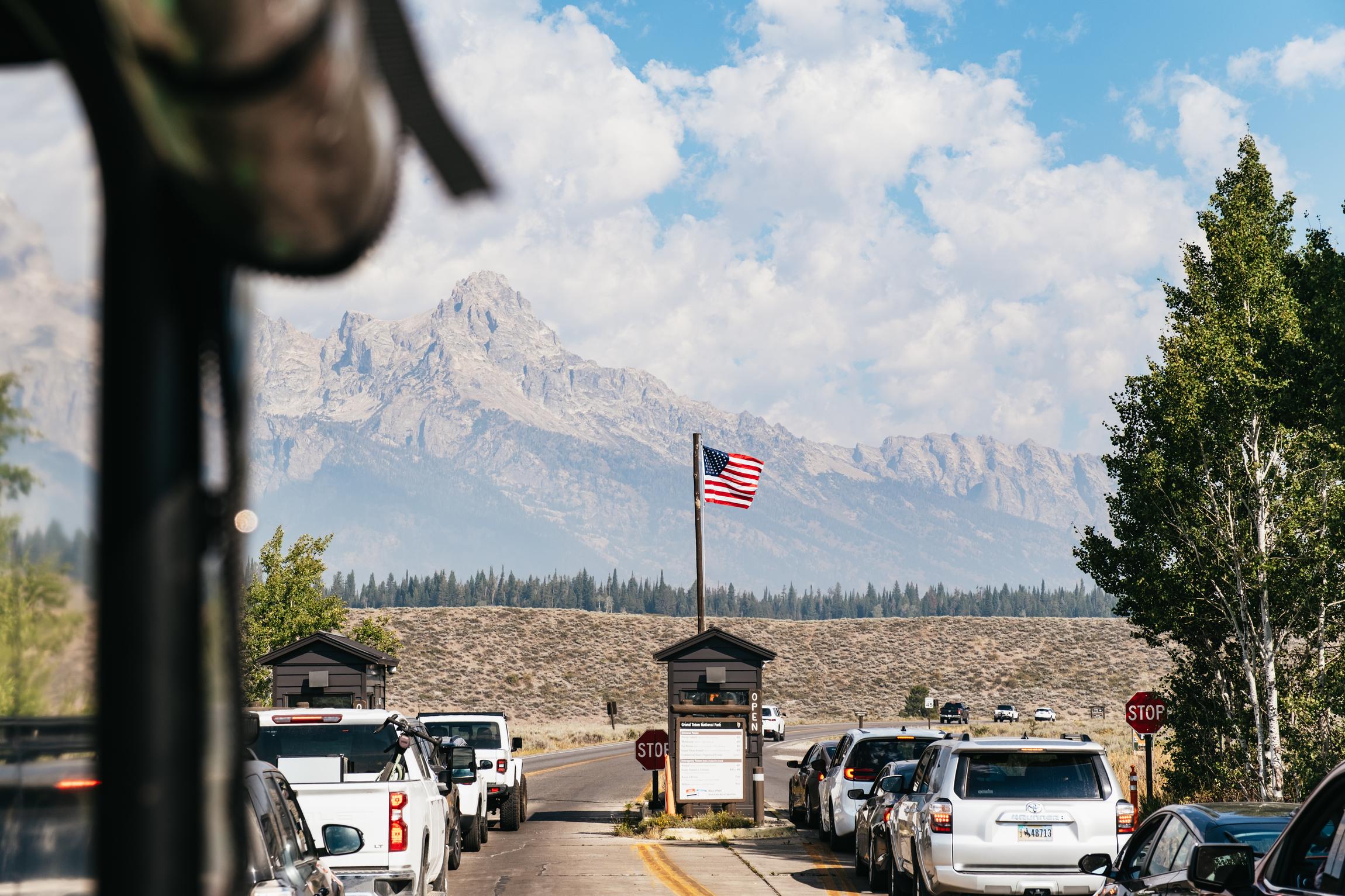 Grand Teton National Park Wildlife Safari