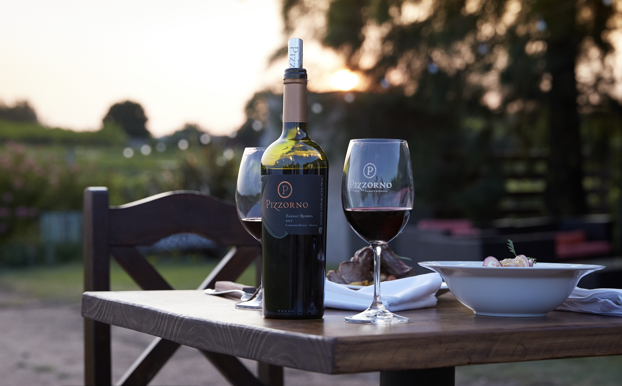 Pizzorno Vineyard Tour with Wine Tasting & Lunch