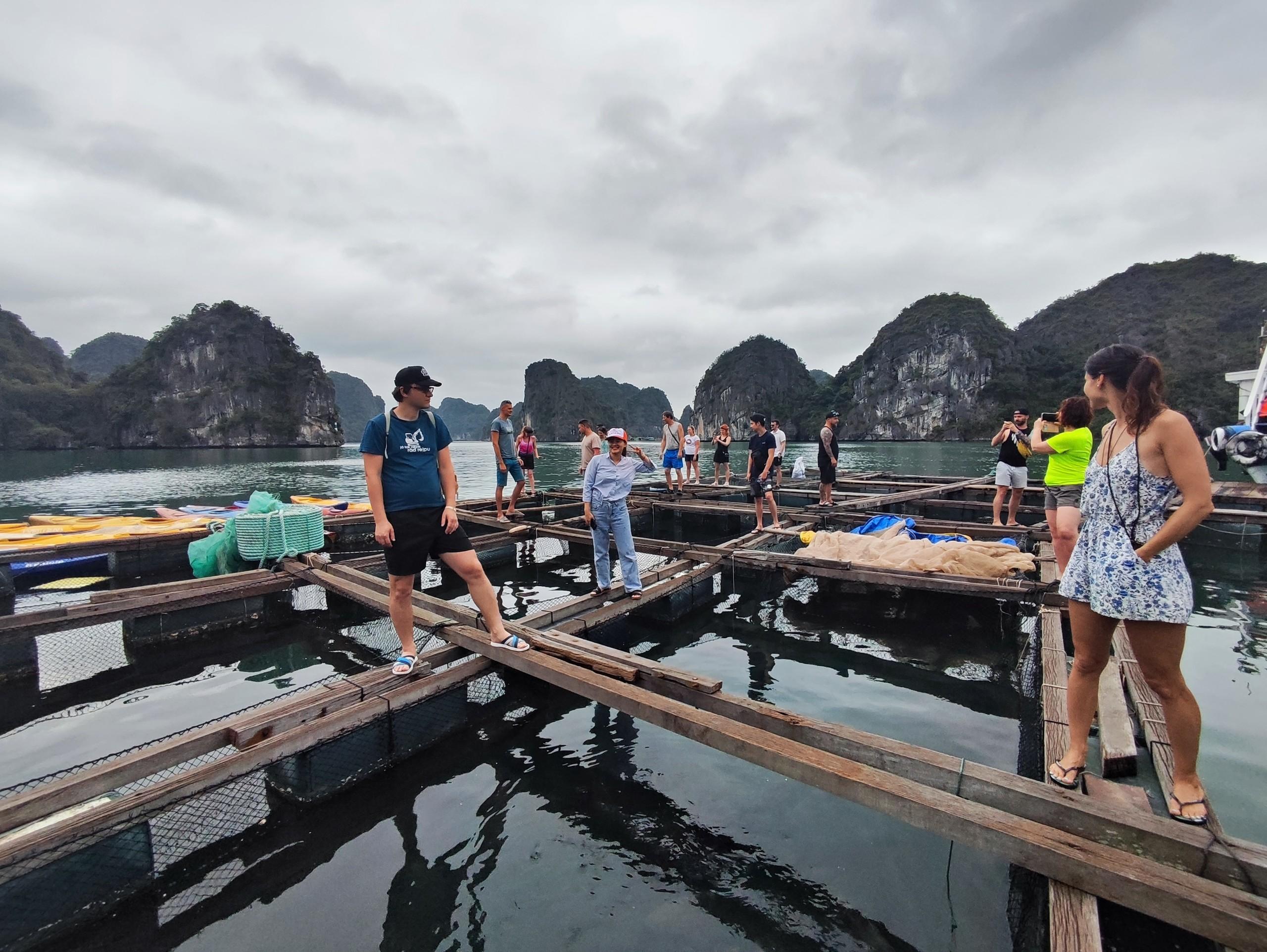 Cat Ba Island: Full-Day Lan Ha & Ha Long Bay Cruise