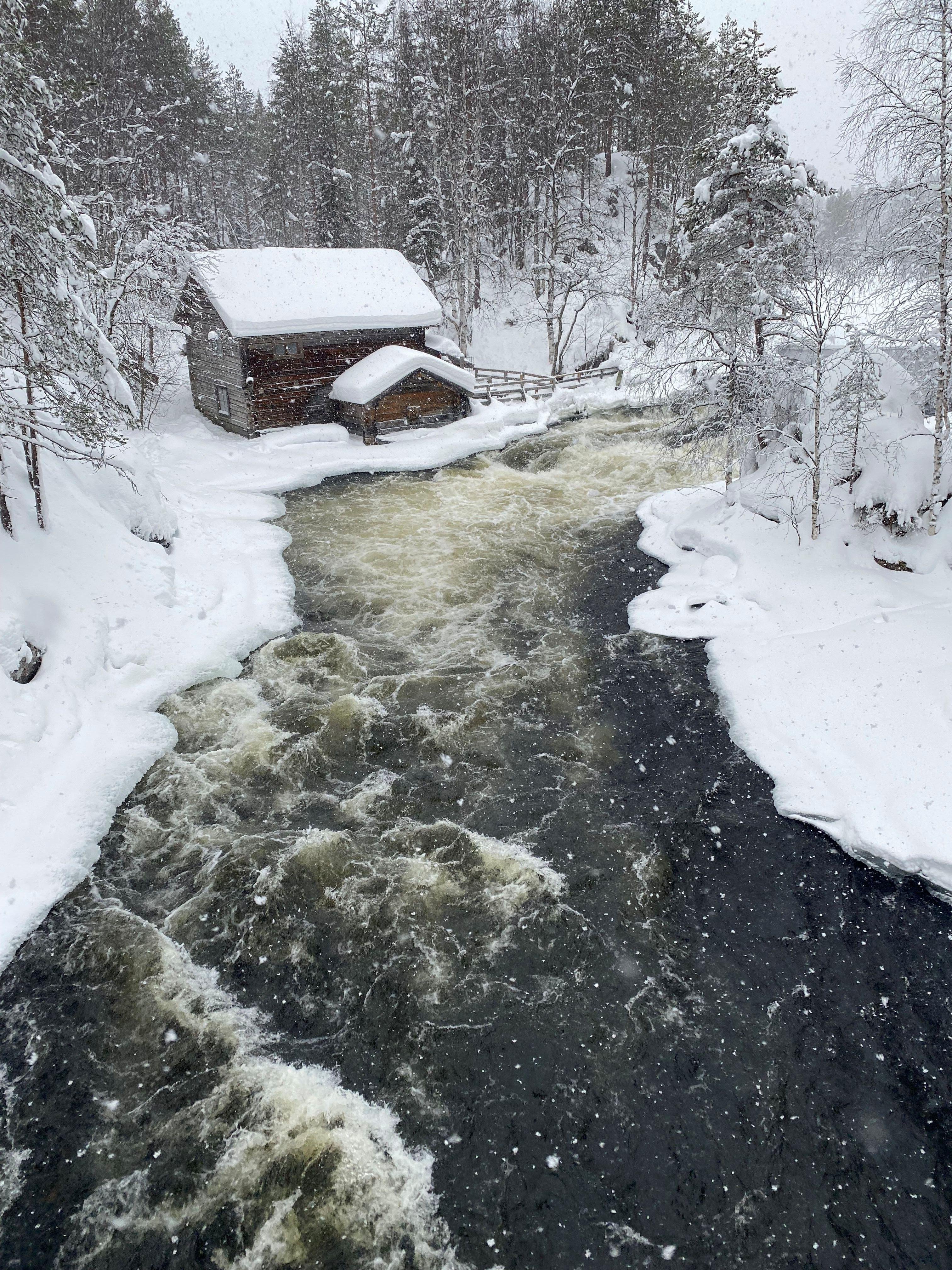 Oulanka National Park Snowshoe Adventure