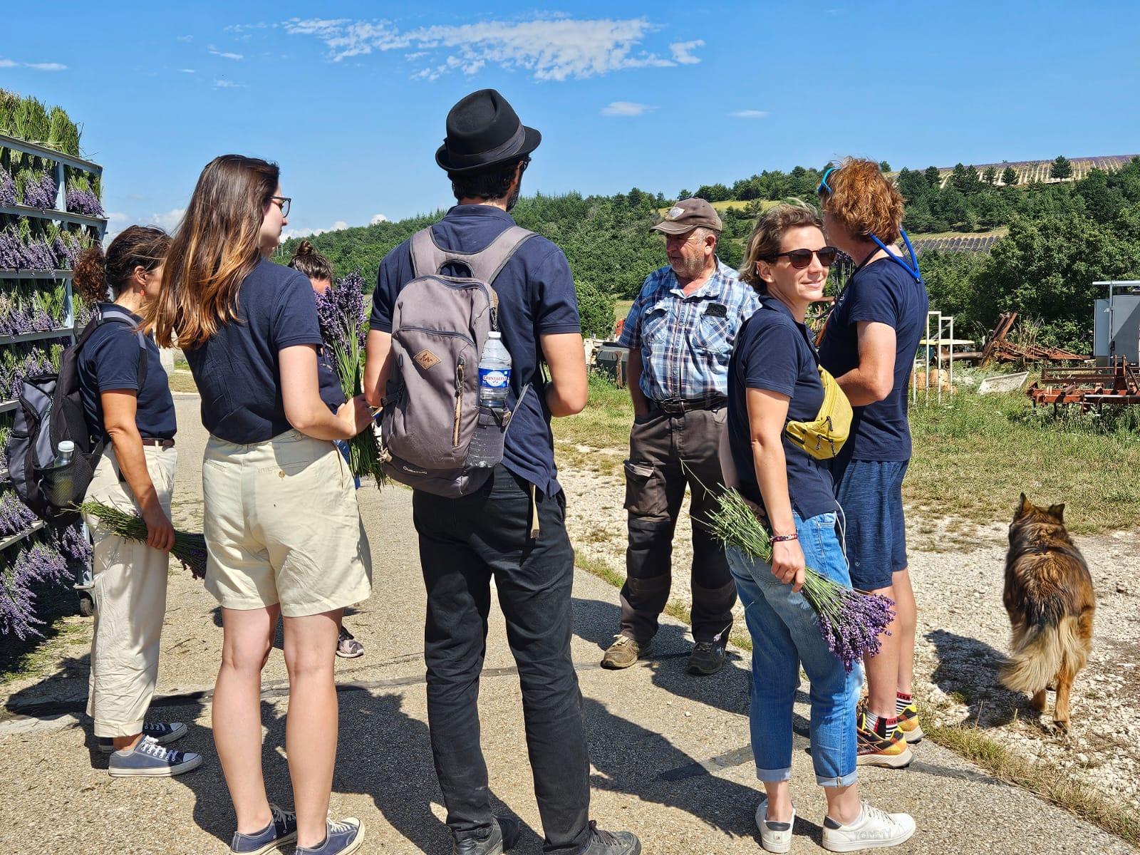 Valensole lavender fields in Provence — guided lavender tour photo 6