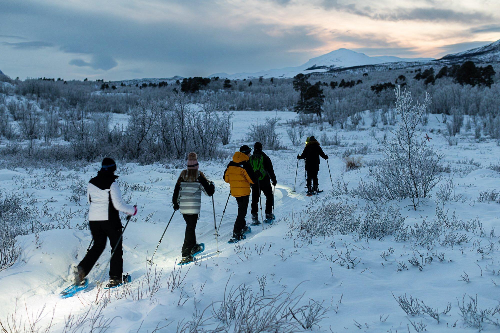 Abisko Wilderness Snowshoe Adventure