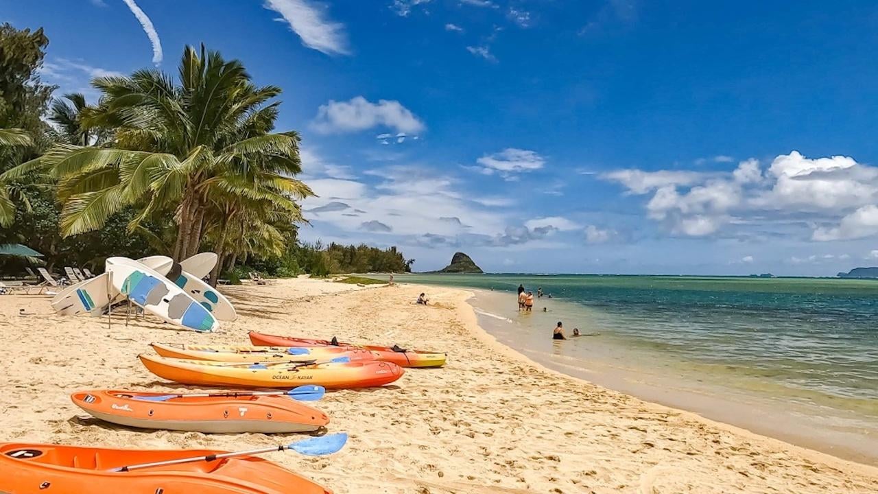 Oahu Secret Beach & Circle Island Adventure
