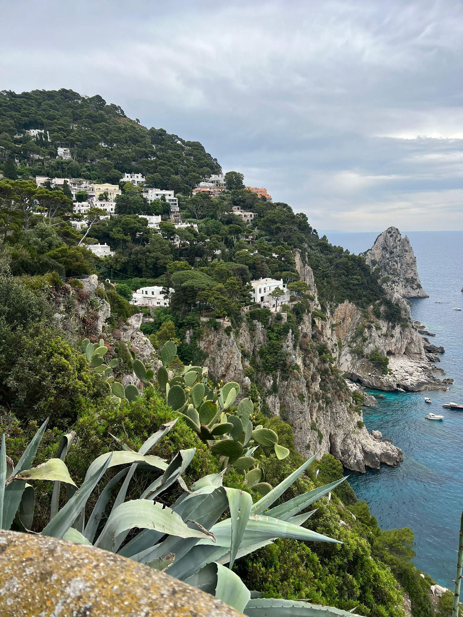 Private Boat Tour from Positano: Capri or Amalfi Coast