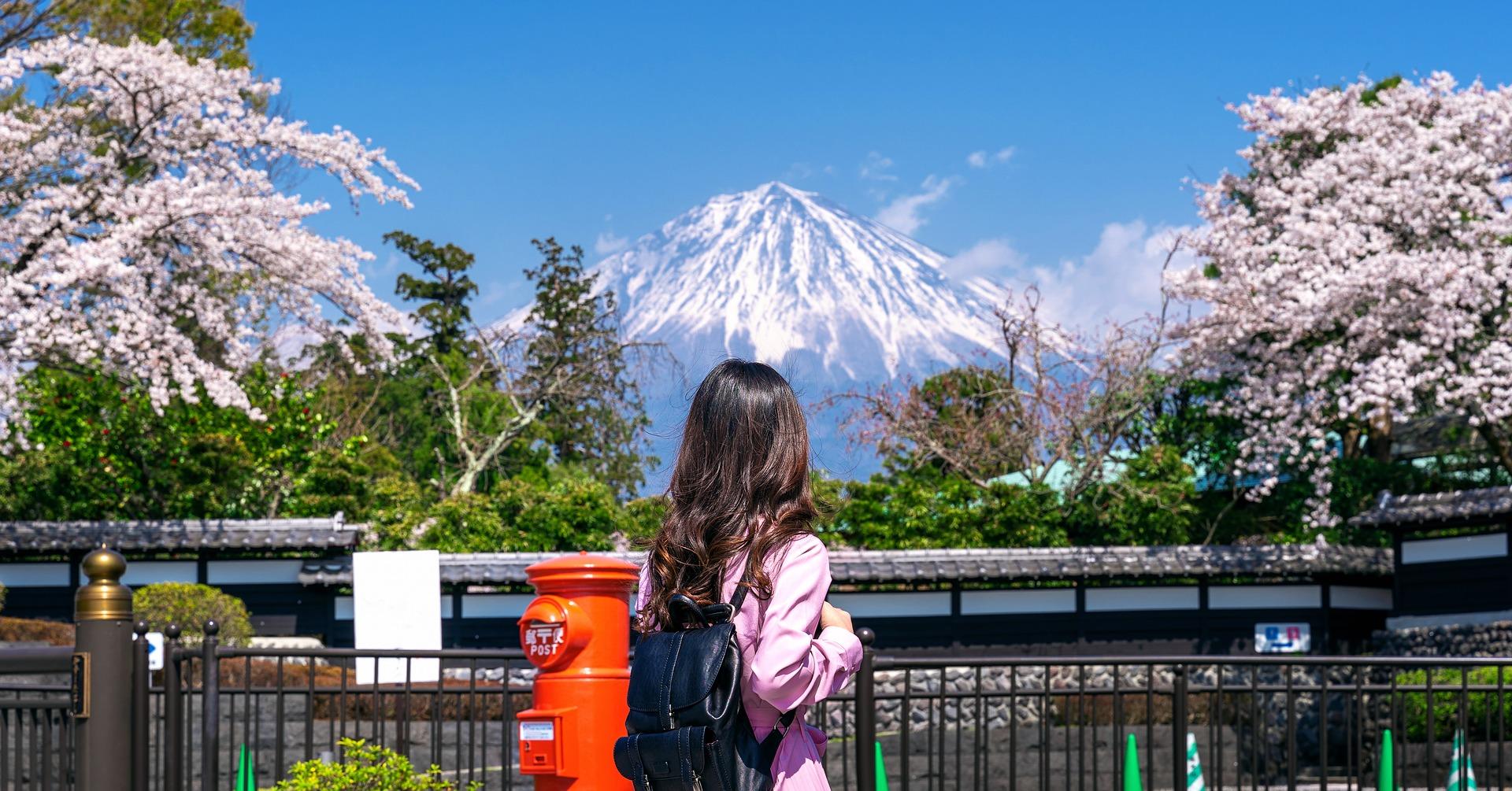 Private Mount Fuji & Hakone Day Tour from Tokyo
