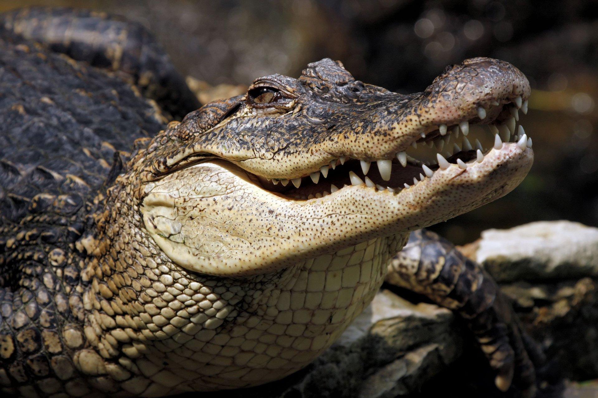 7-Day Sri Lanka Private Discovery Tour