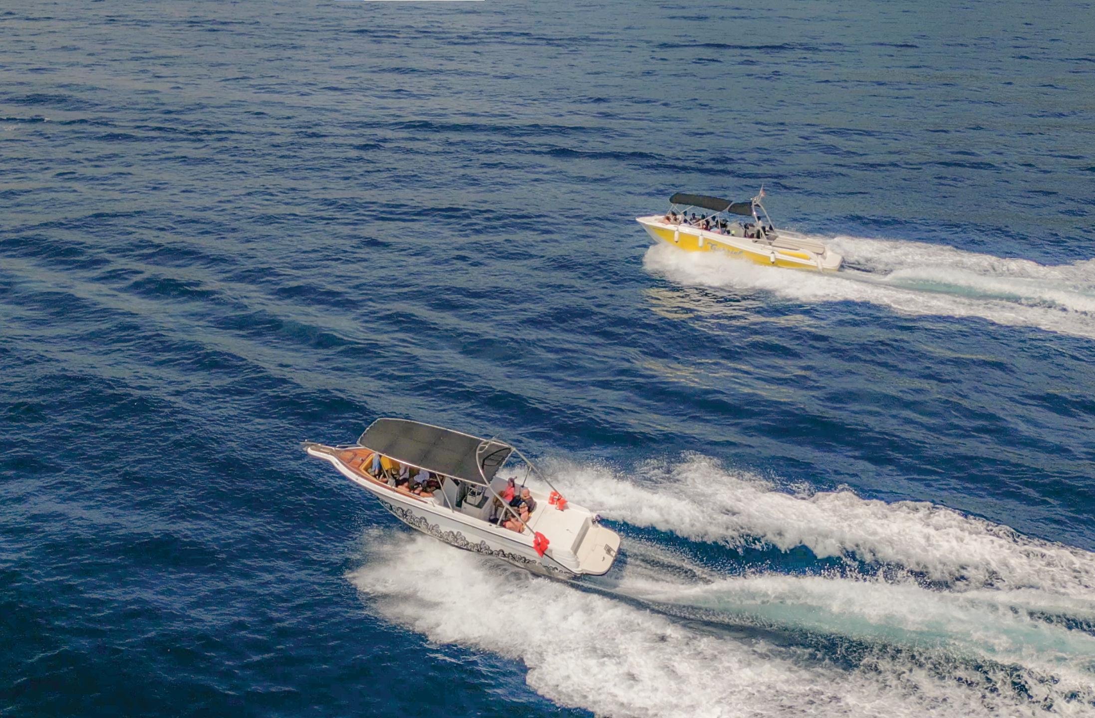 Blue Cave & Šunj Beach Speedboat Adventure from Dubrovnik