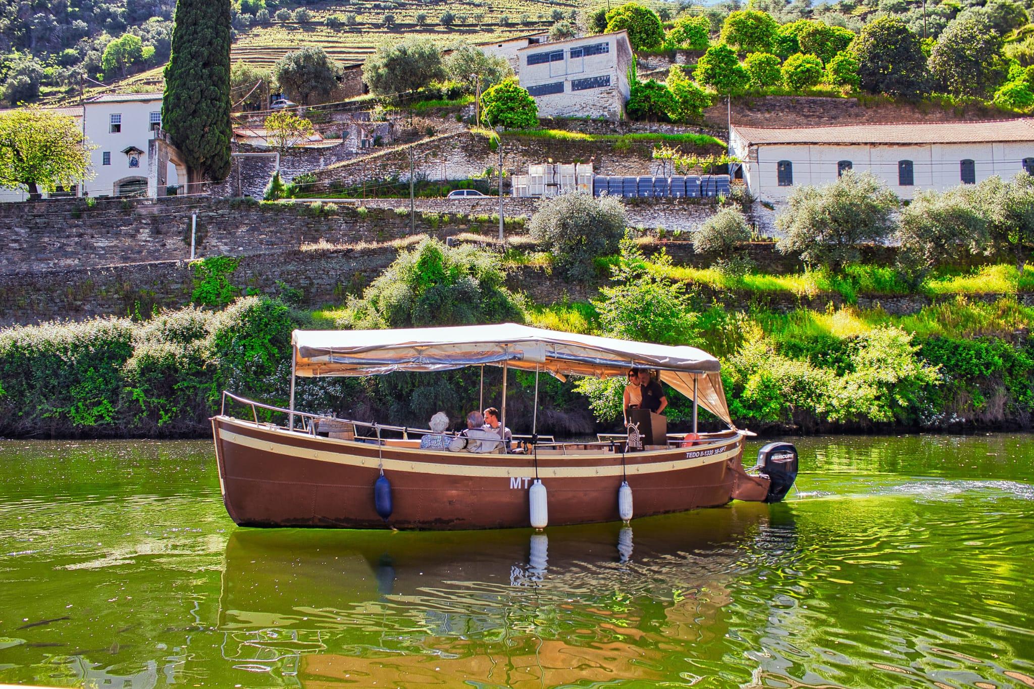 Douro Valley Small-Group Wine & Boat Tour from Porto