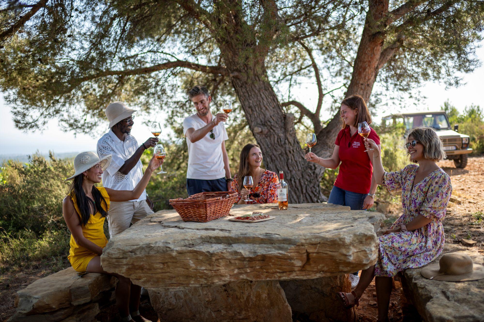 wine tour in Provence — From Nice: Provence Wine Full-Day Tour - 2026 (Verified Reviews)