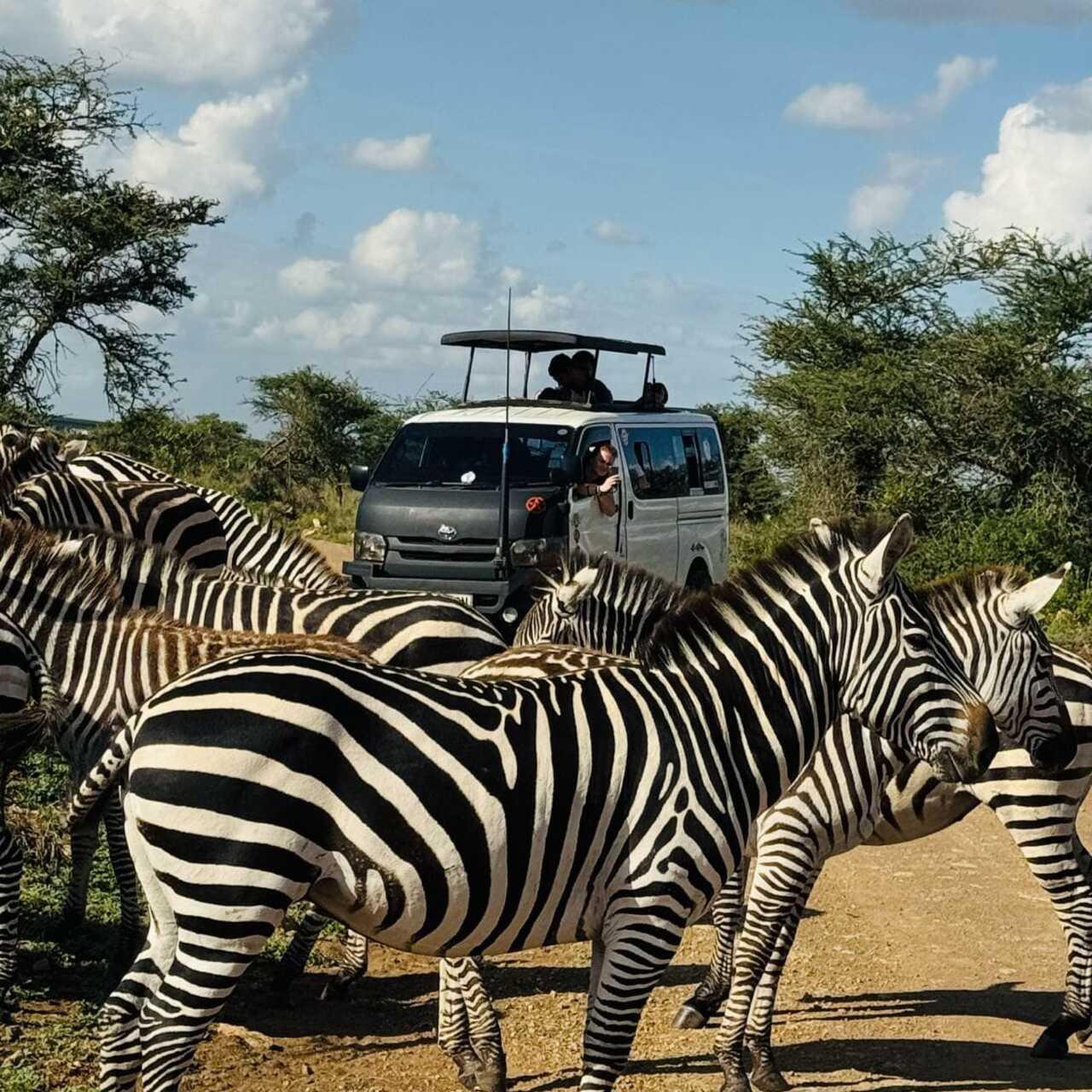 Nairobi National Park 5-Hour 4x4 Wildlife Safari