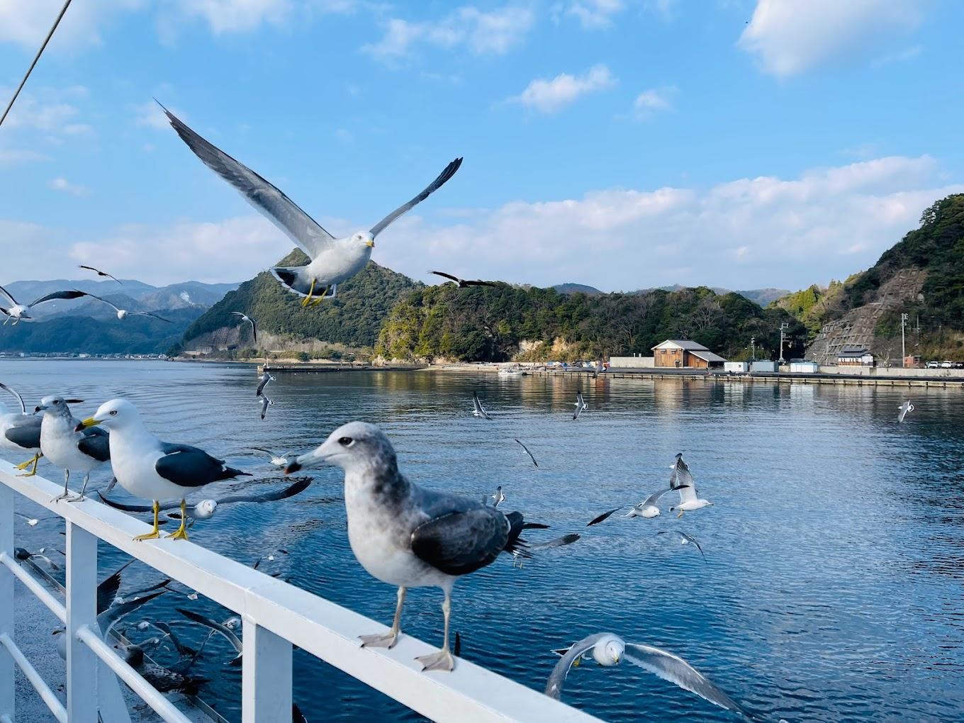 Ine Bay and Amanohashidate Scenic Day Tour from Kyoto or Osaka