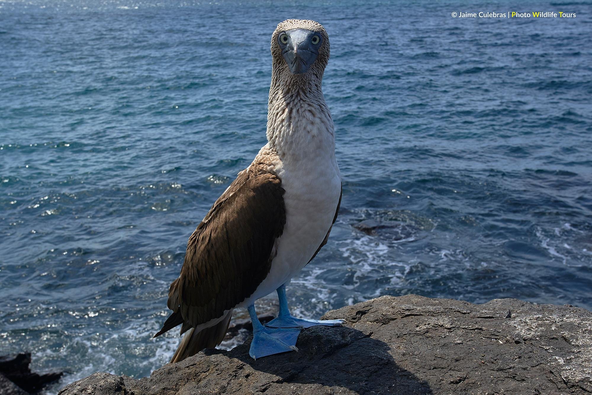 San Cristobal 360° Full-Day Island Expedition