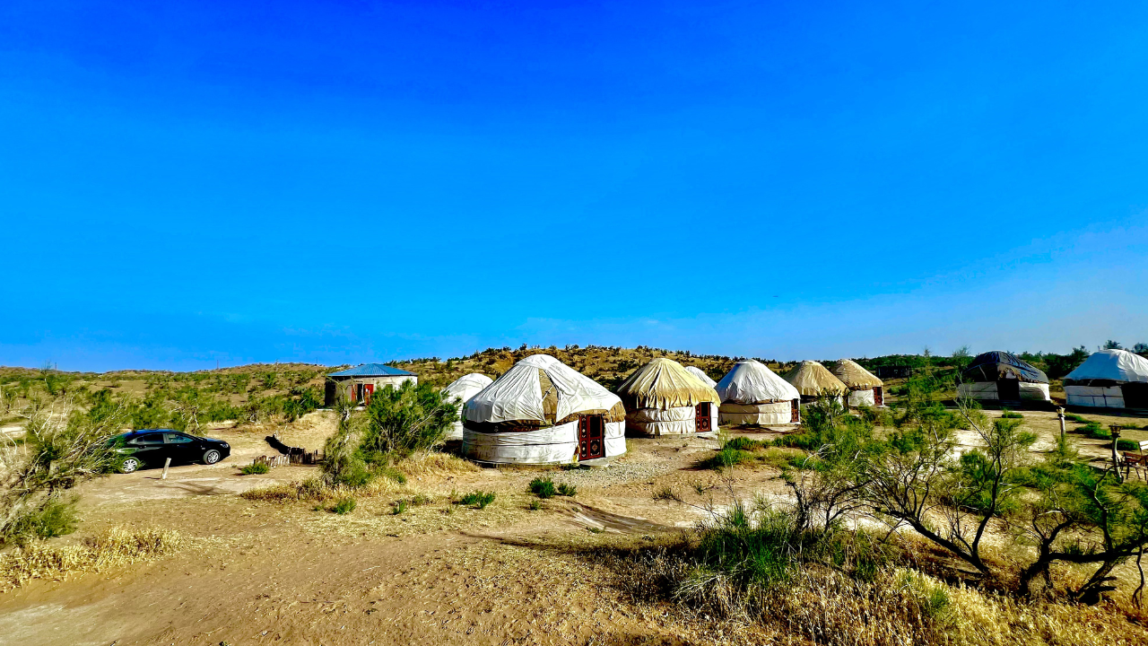 2-Day Kyzylkum Desert Safari with Yurt Stay & Aydarkul Lake