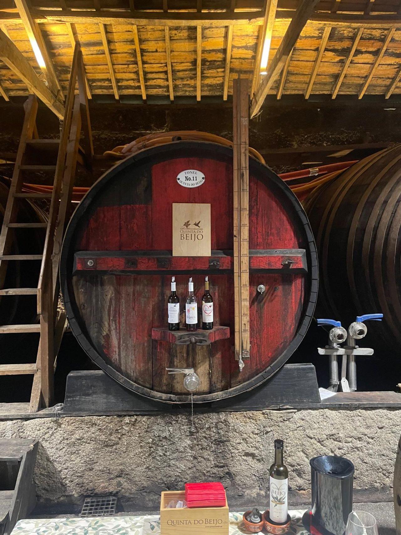 Douro Valley Wine & Boat Tour from Porto with Sommelier Guide
