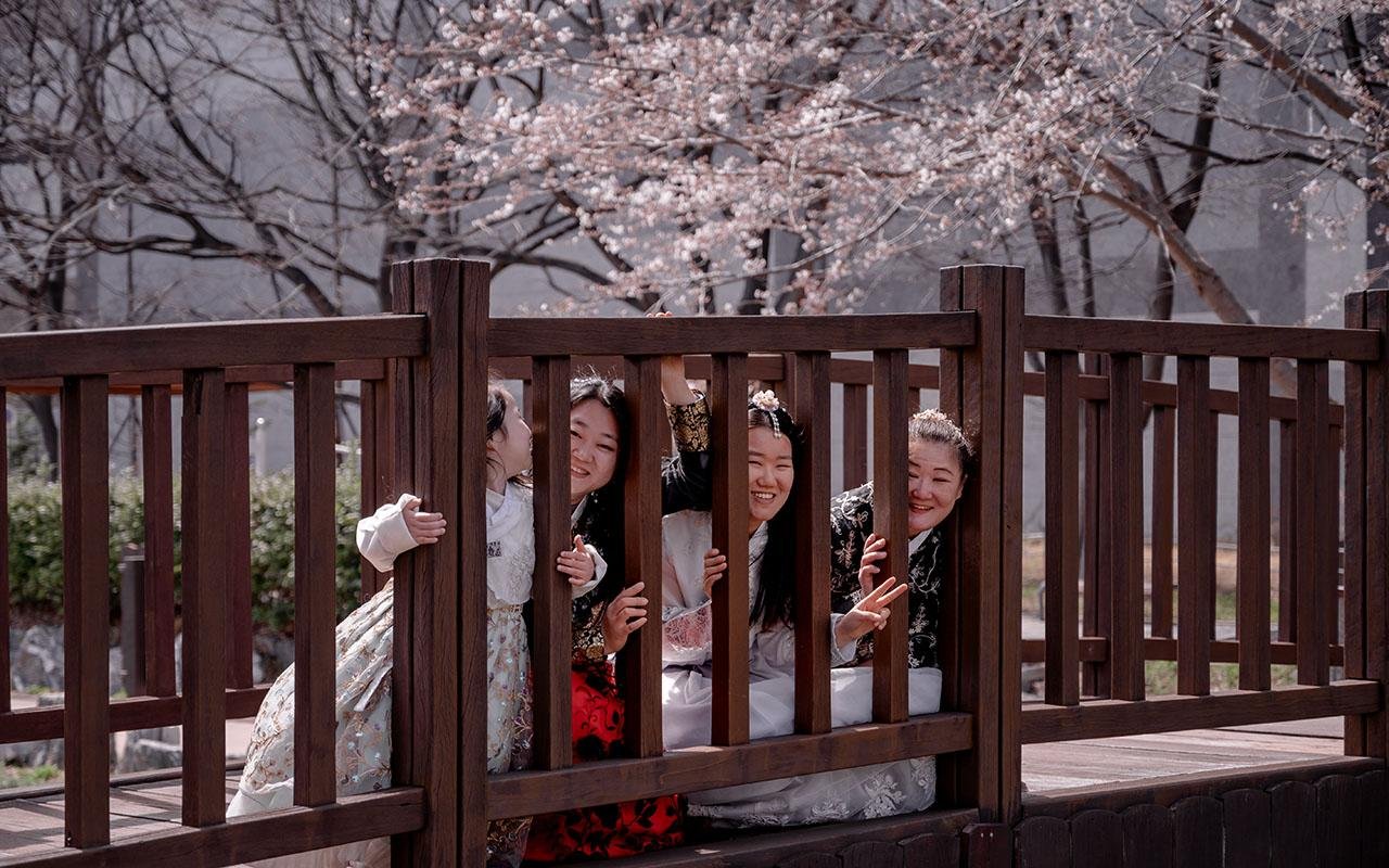 Busan: Private Photoshoot with Professional Photographer