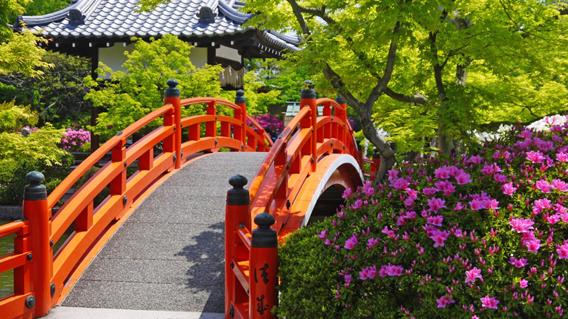 Kyoto Nijo Castle: UNESCO World Heritage Small-Group Guided Tour