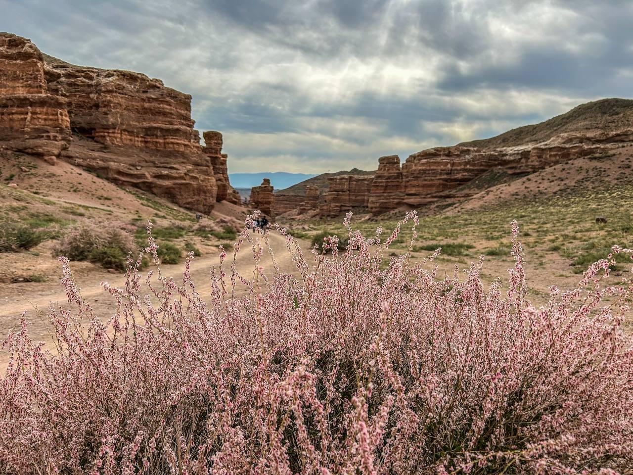 Charyn Canyon Full-Day Trip from Almaty