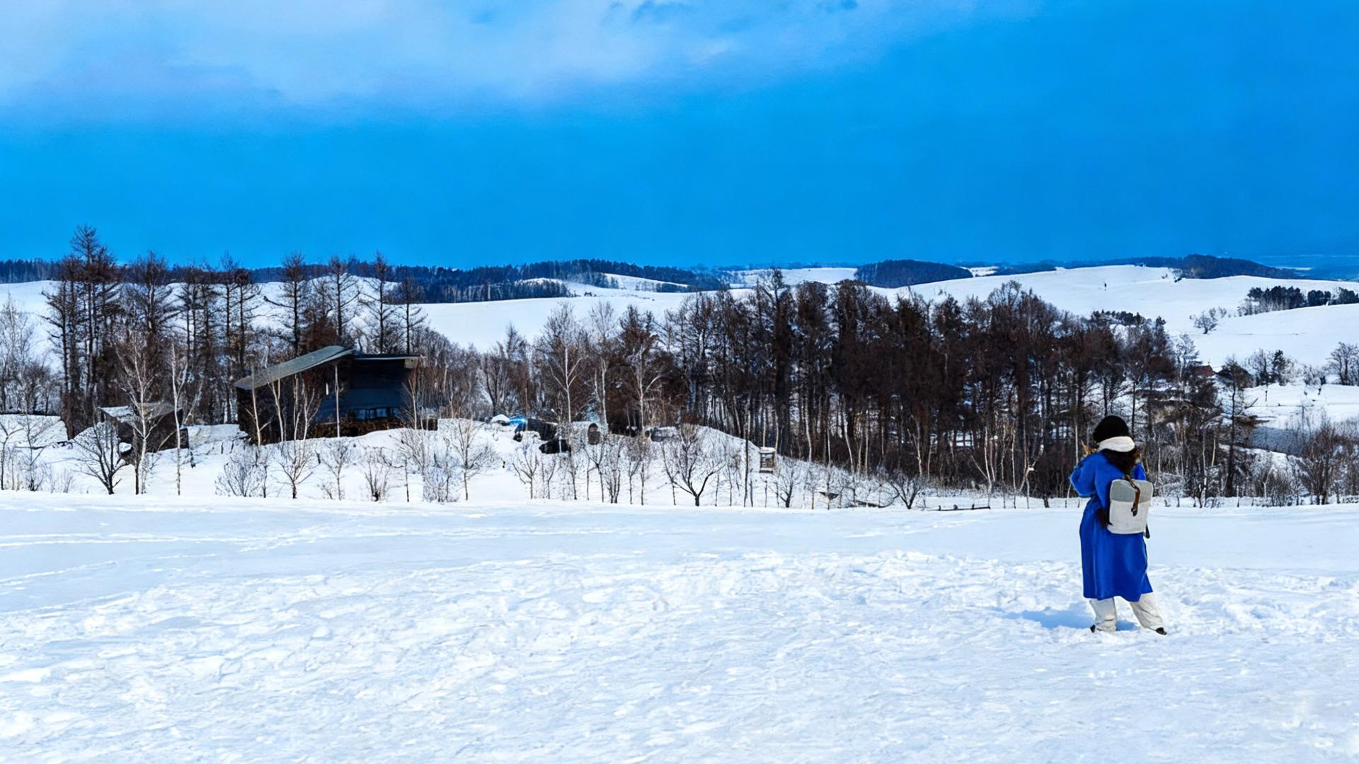 Hokkaido Winter Wonderland: Shikisai no Oka & Blue Pond Illumination Day Tour