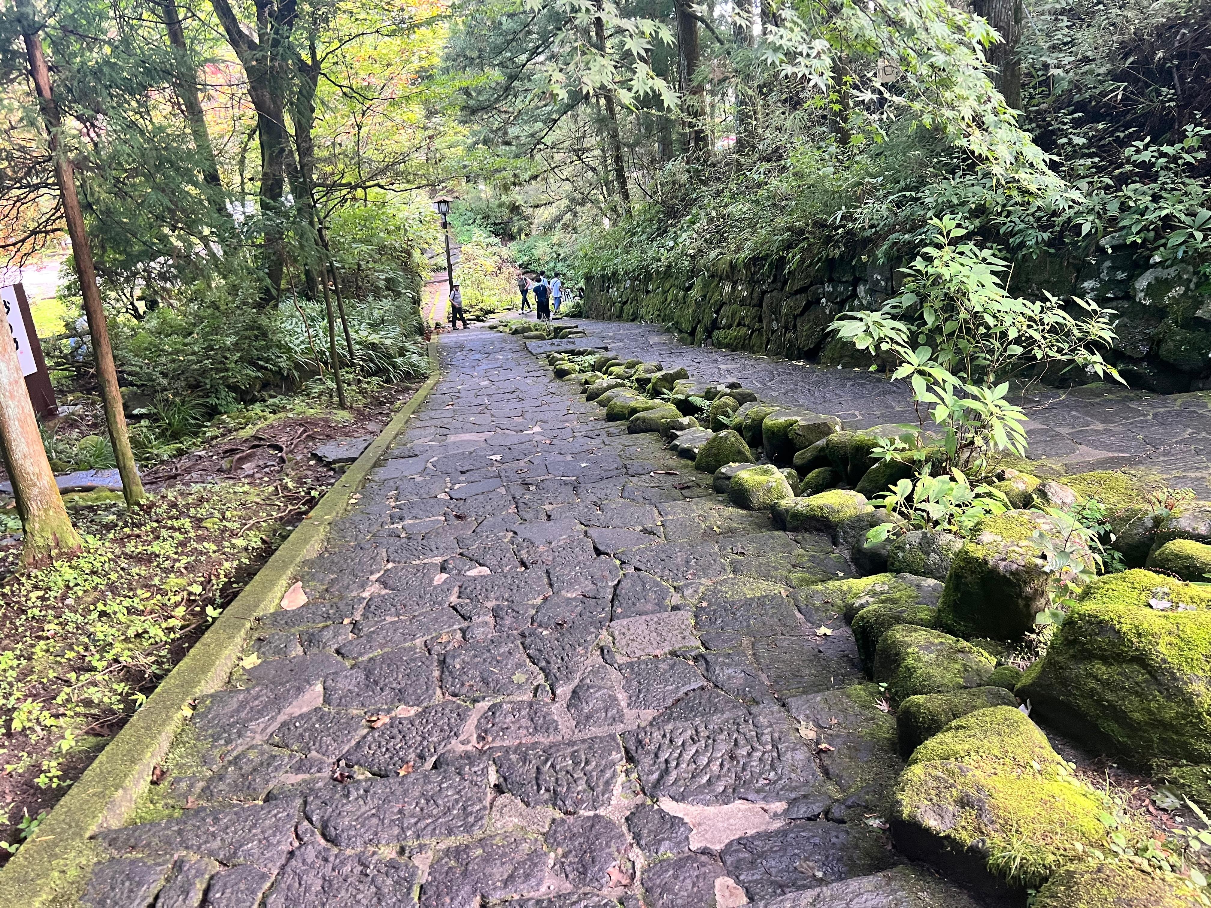 Nikko UNESCO Heritage Private Full-Day Tour from Tokyo
