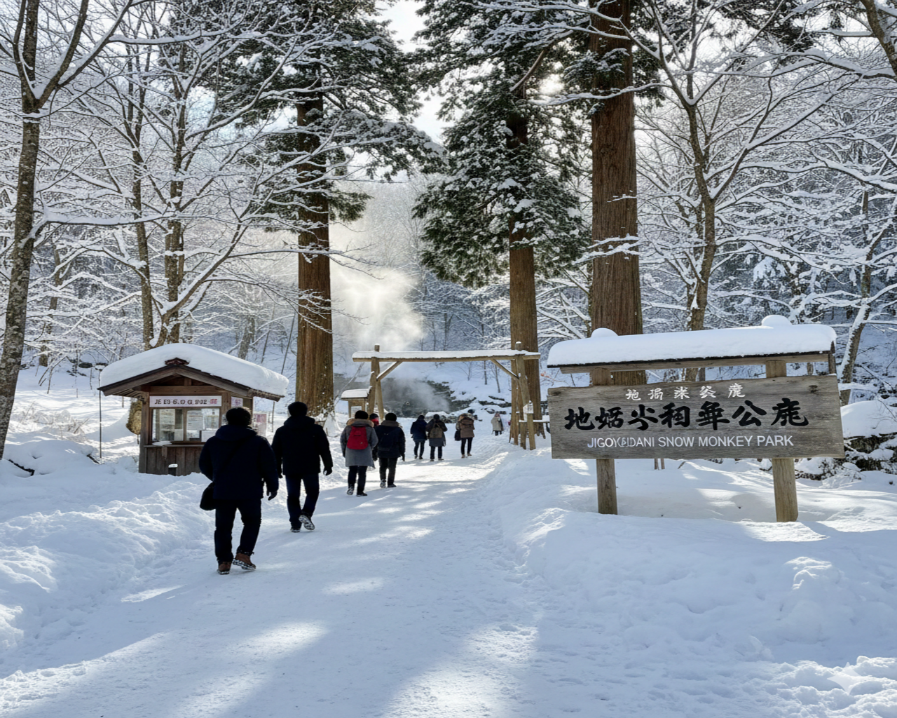 Hakuba Private Day Tour: Snow Monkeys & Nagano Alpine Highlights