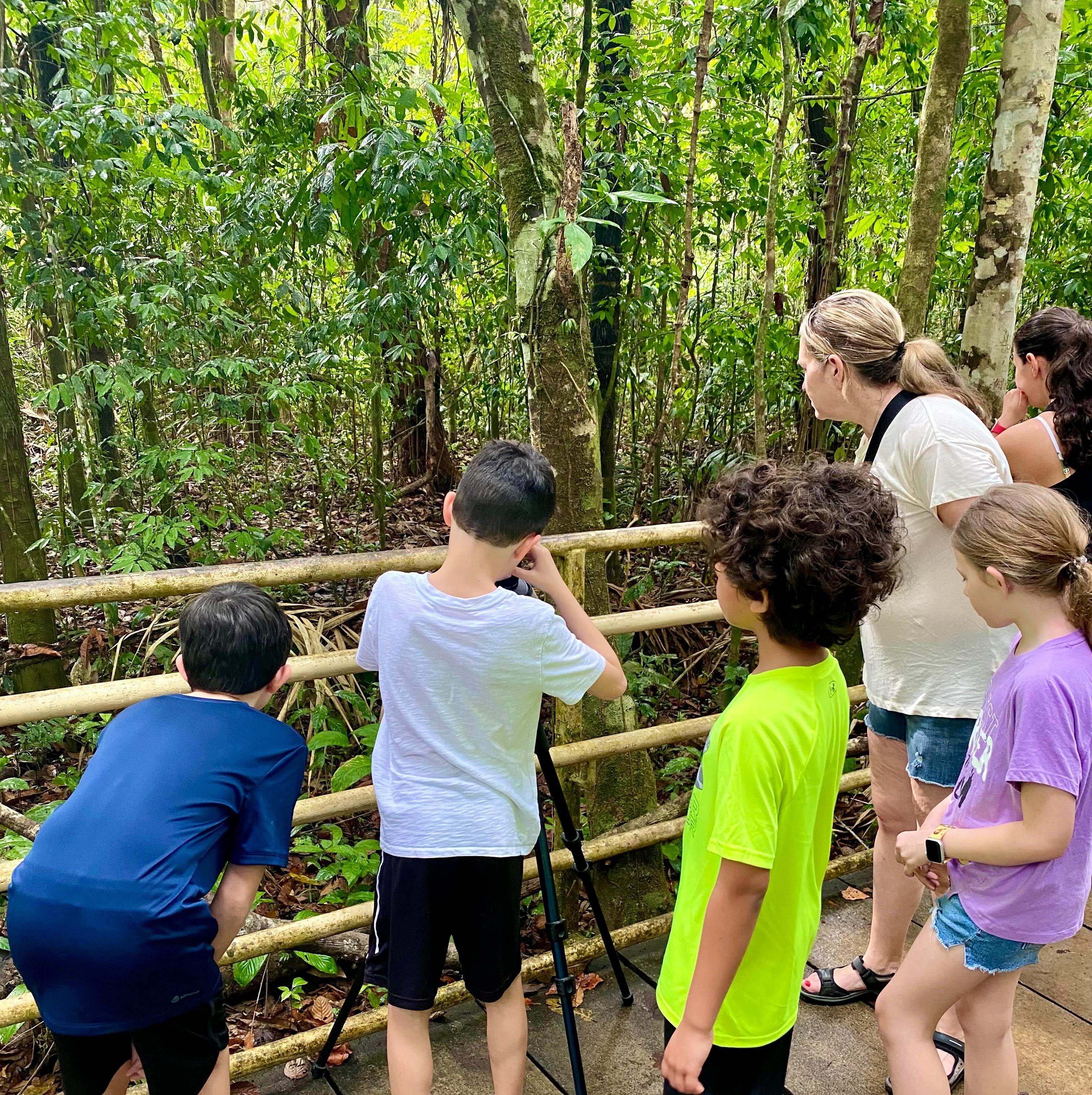 Manuel Antonio National Park: Naturalist-Led Wildlife Walking Tour
