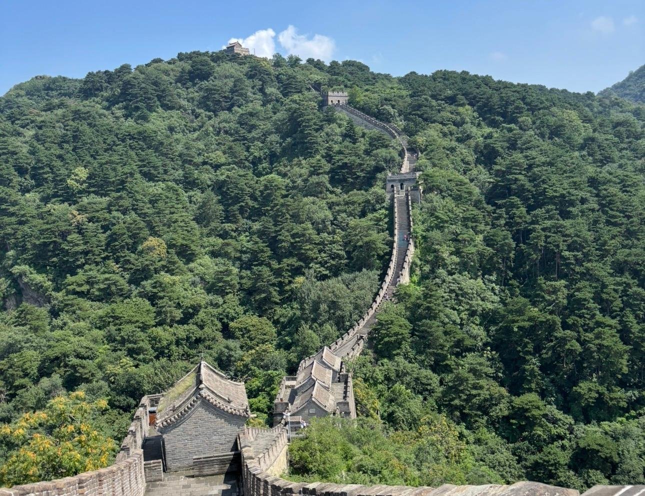 Beijing Private Full-Day Tour: Forbidden City & Mutianyu Great Wall