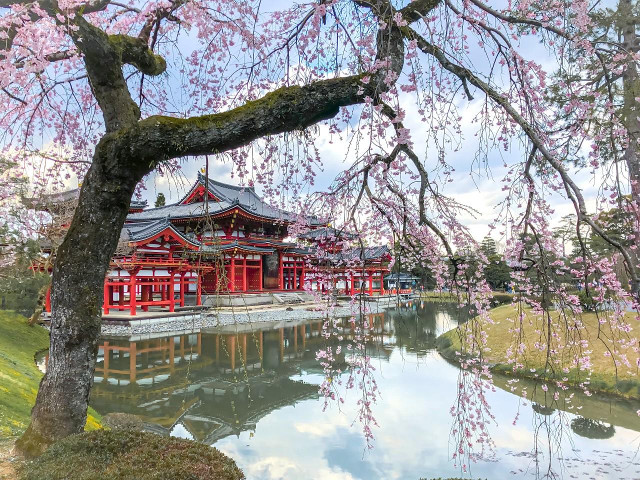 Osaka: Kyoto & Nara & Uji Historical and Scenic One-Day Tour