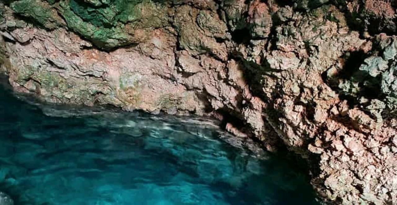 Zanzibar: Jozani Forest, Swahili Cave & Mtende Beach Day Tour