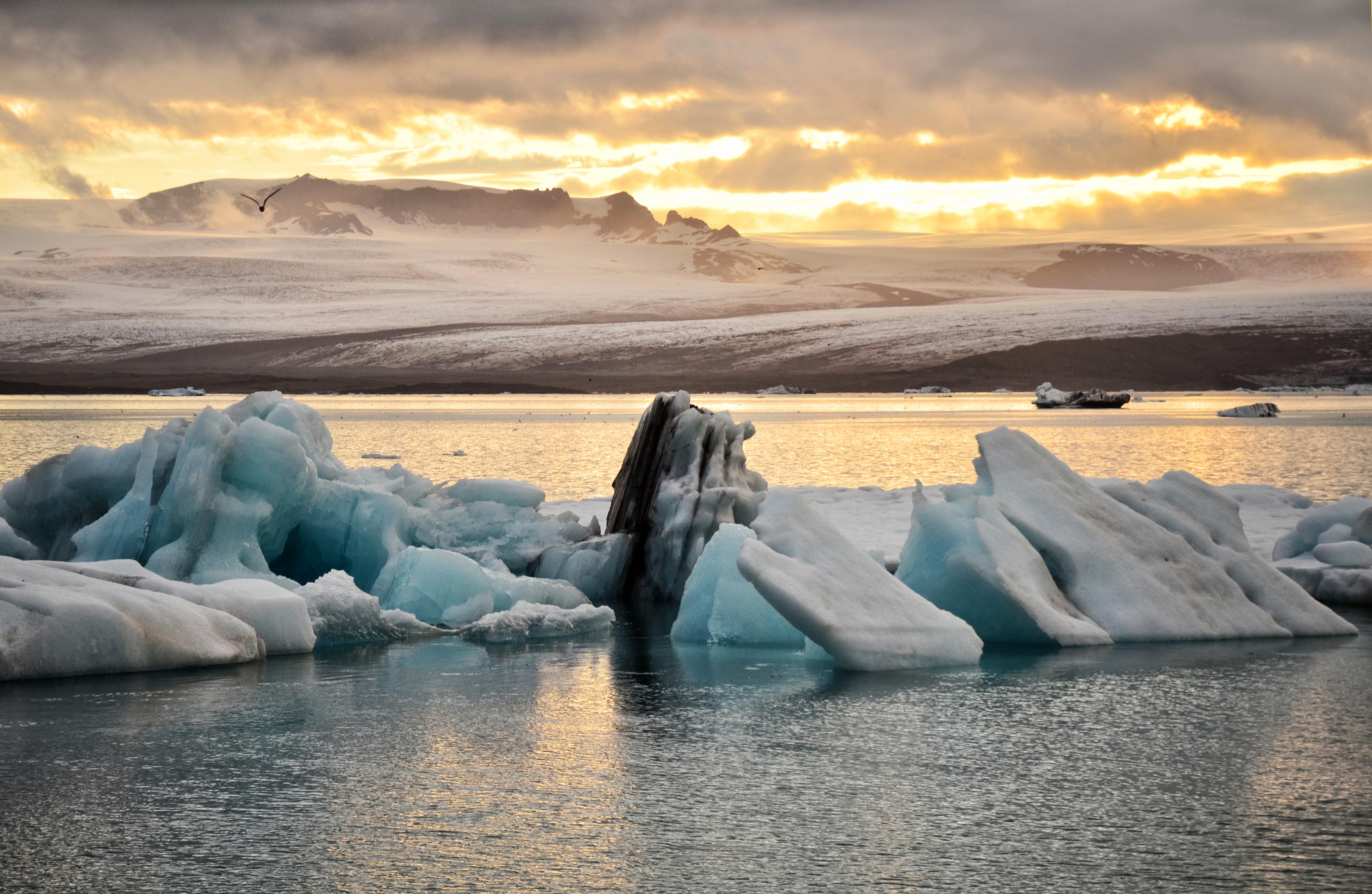 Glacier Lagoon, Diamond Beach & Fjaðrárgjúfur Canyon Day Tour from Reykjavik