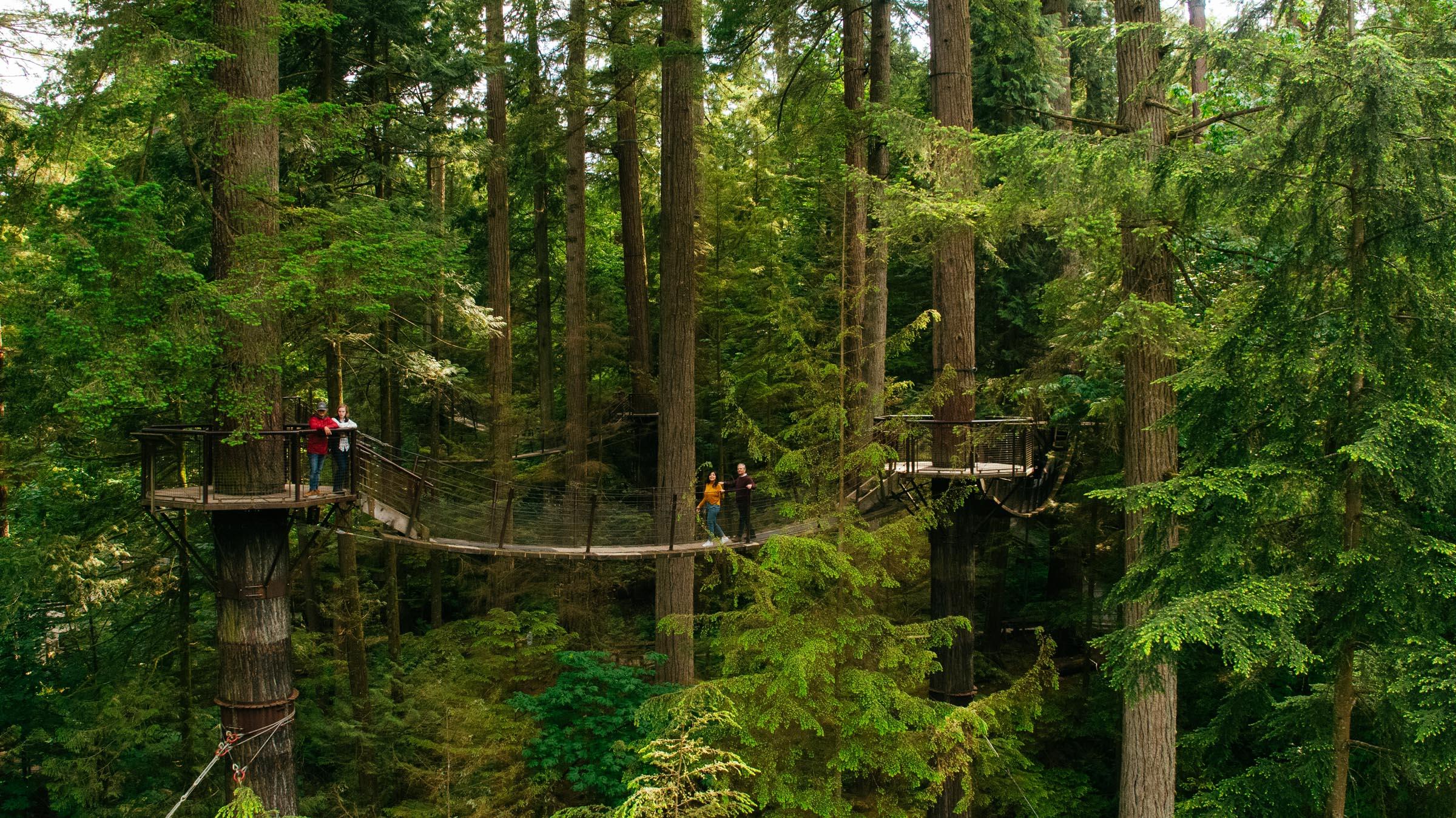 Capilano Canyon Halloween & Vancouver Twilight Private Tour