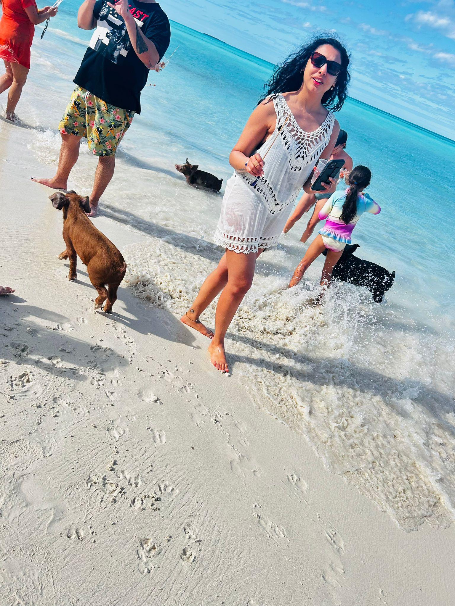 Nassau 3-Island Speedboat Adventure: Pigs, Turtles & Snorkeling