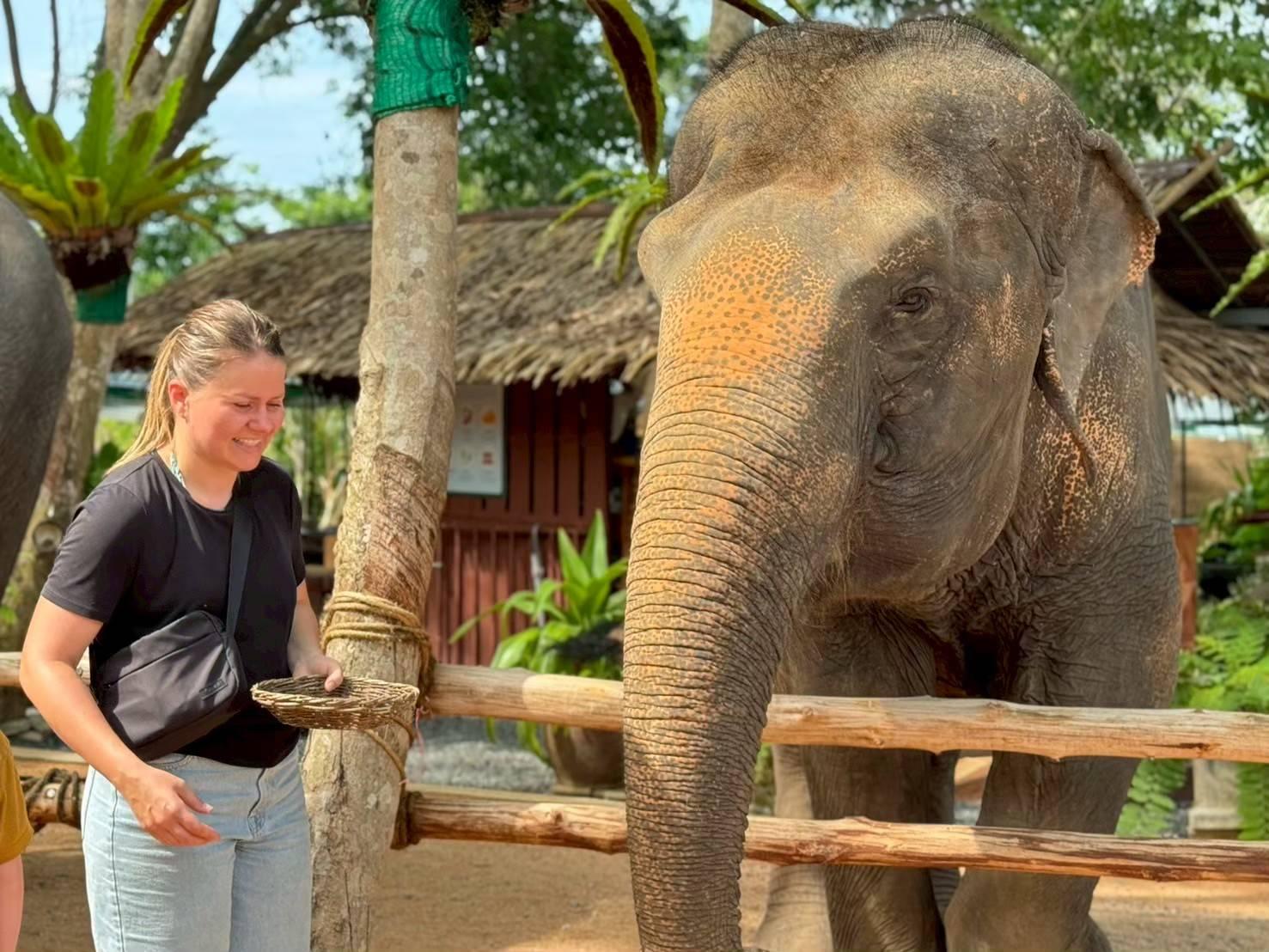 Koh Samui: Ethical Elephant Feeding & Coconut Culture Day