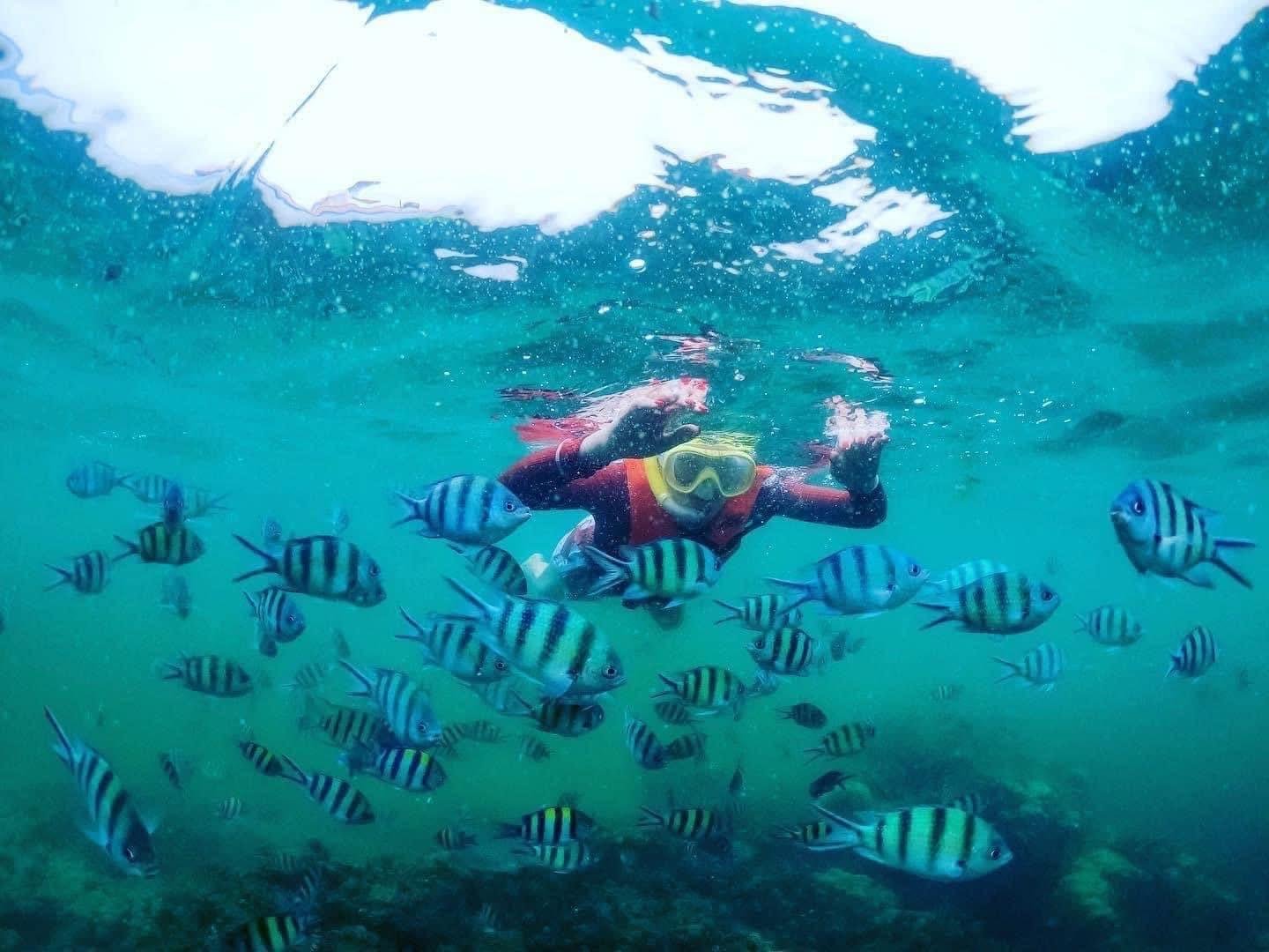 Pig Island & Koh Tan Snorkeling Speedboat Adventure